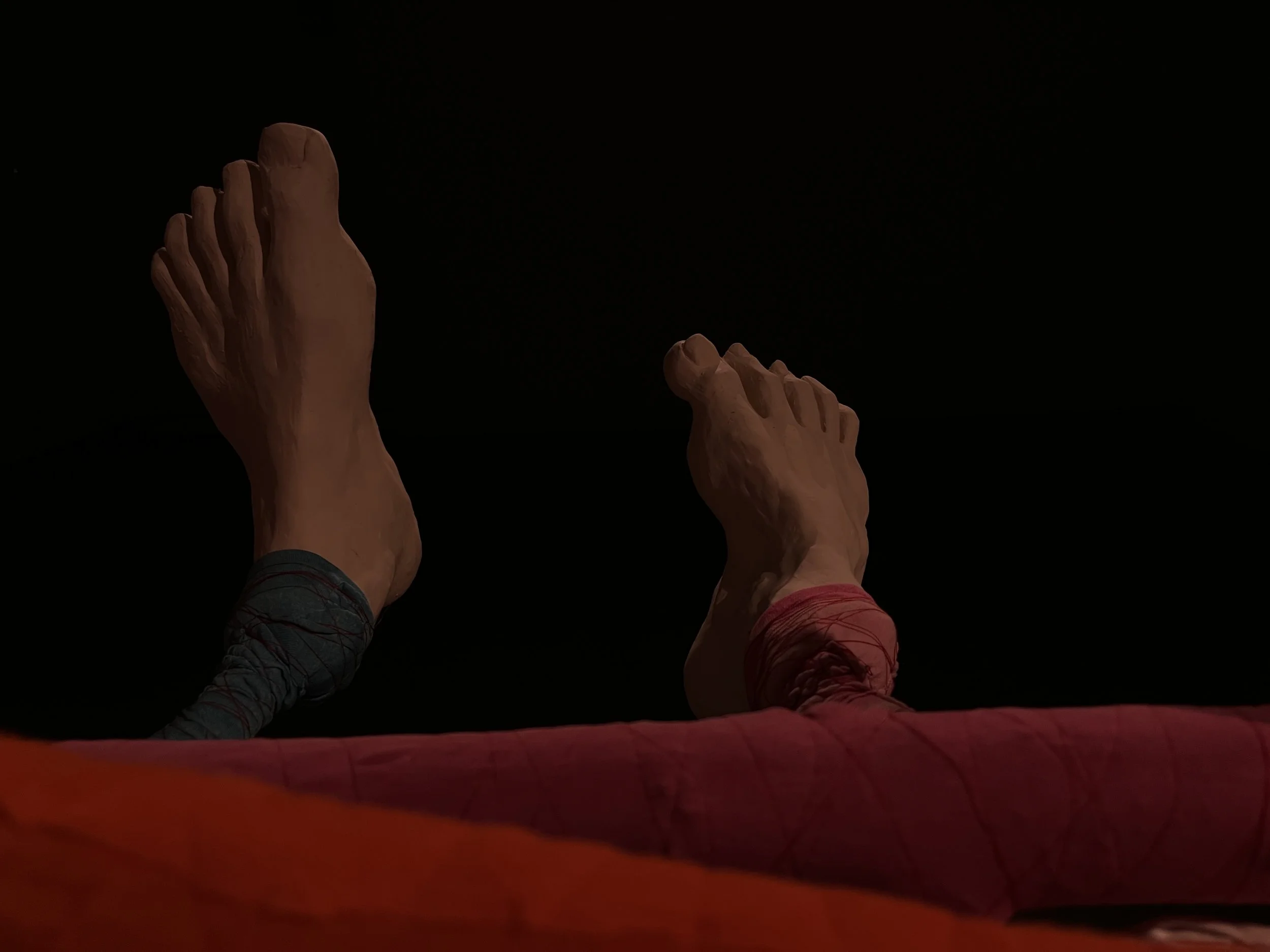Cage