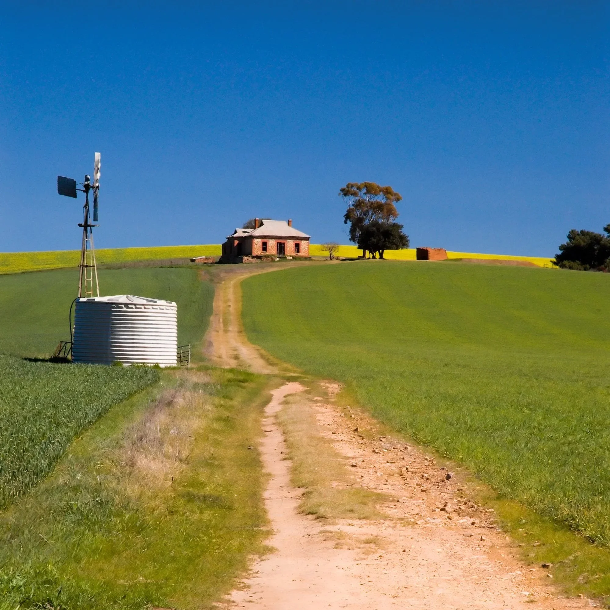 A rural landscape with a dirt road running through grassy fields, a house on a hill, trees, and a clear blue sky with a weather vane in the foreground.