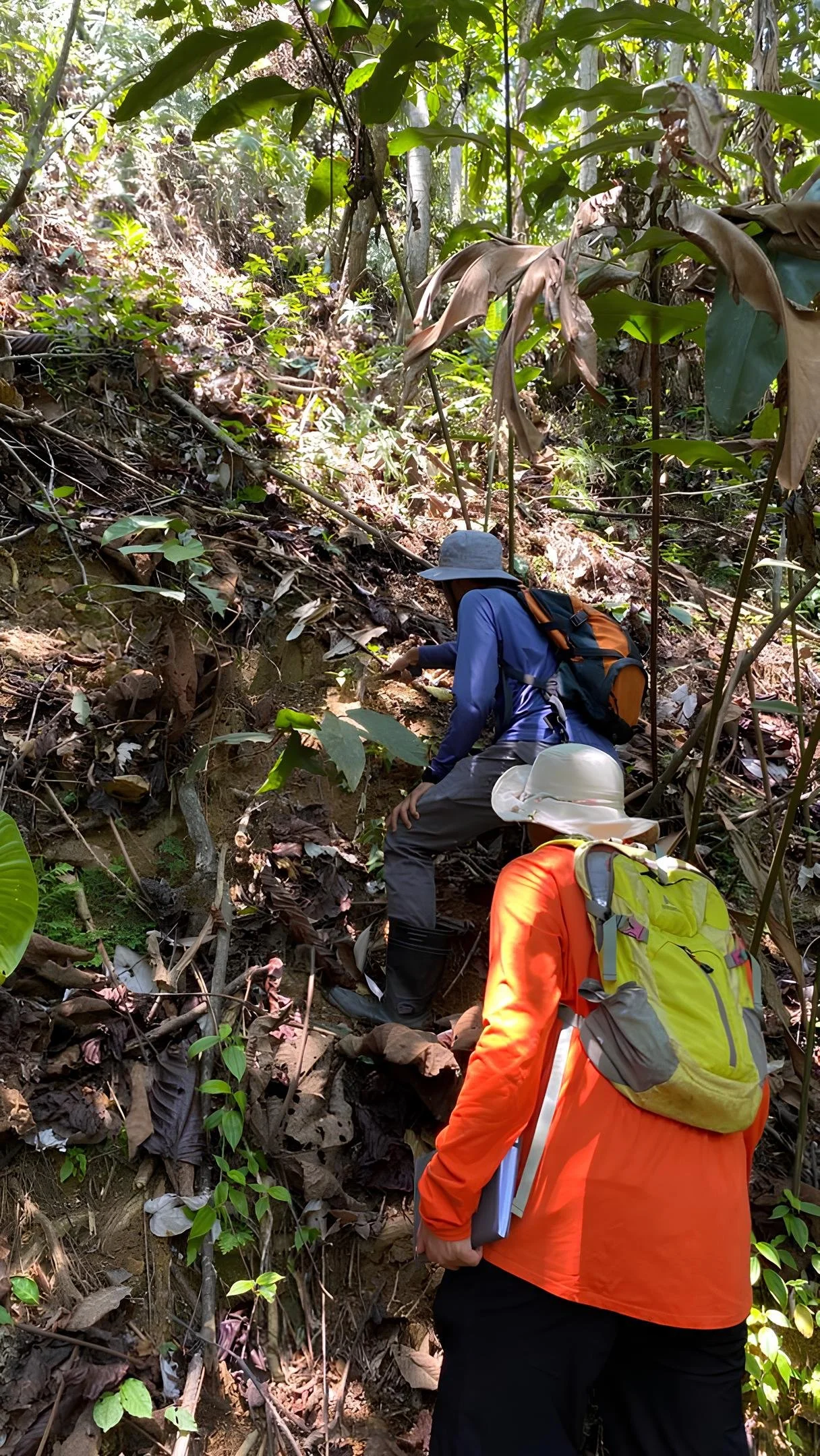 Geological exploration