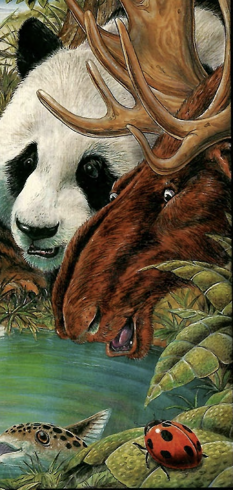 Colorful illustration of a panda bear, a deer, a rabbit, a fish, and a ladybug in a lush forest setting.