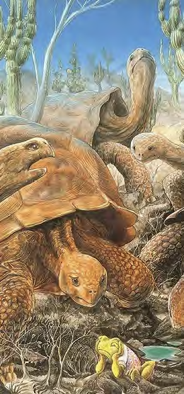 Illustration of various prehistoric animals, including a giant turtle, a snake, and amphibians, in a natural landscape with trees and sky.