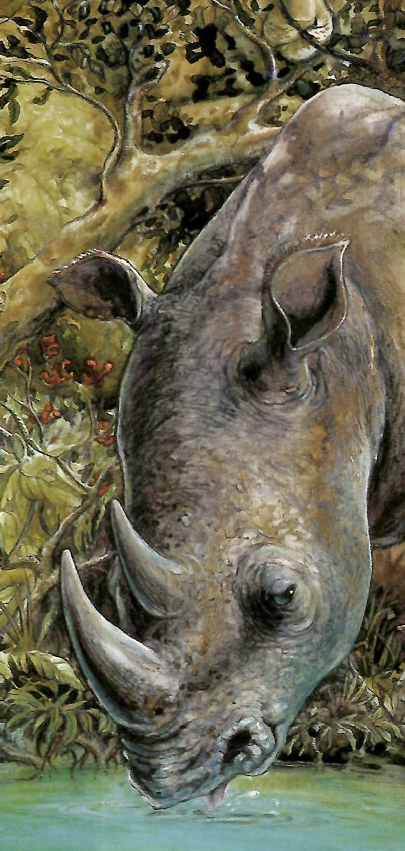 A realistic painting of a rhinoceros drinking water, surrounded by lush greenery and trees.