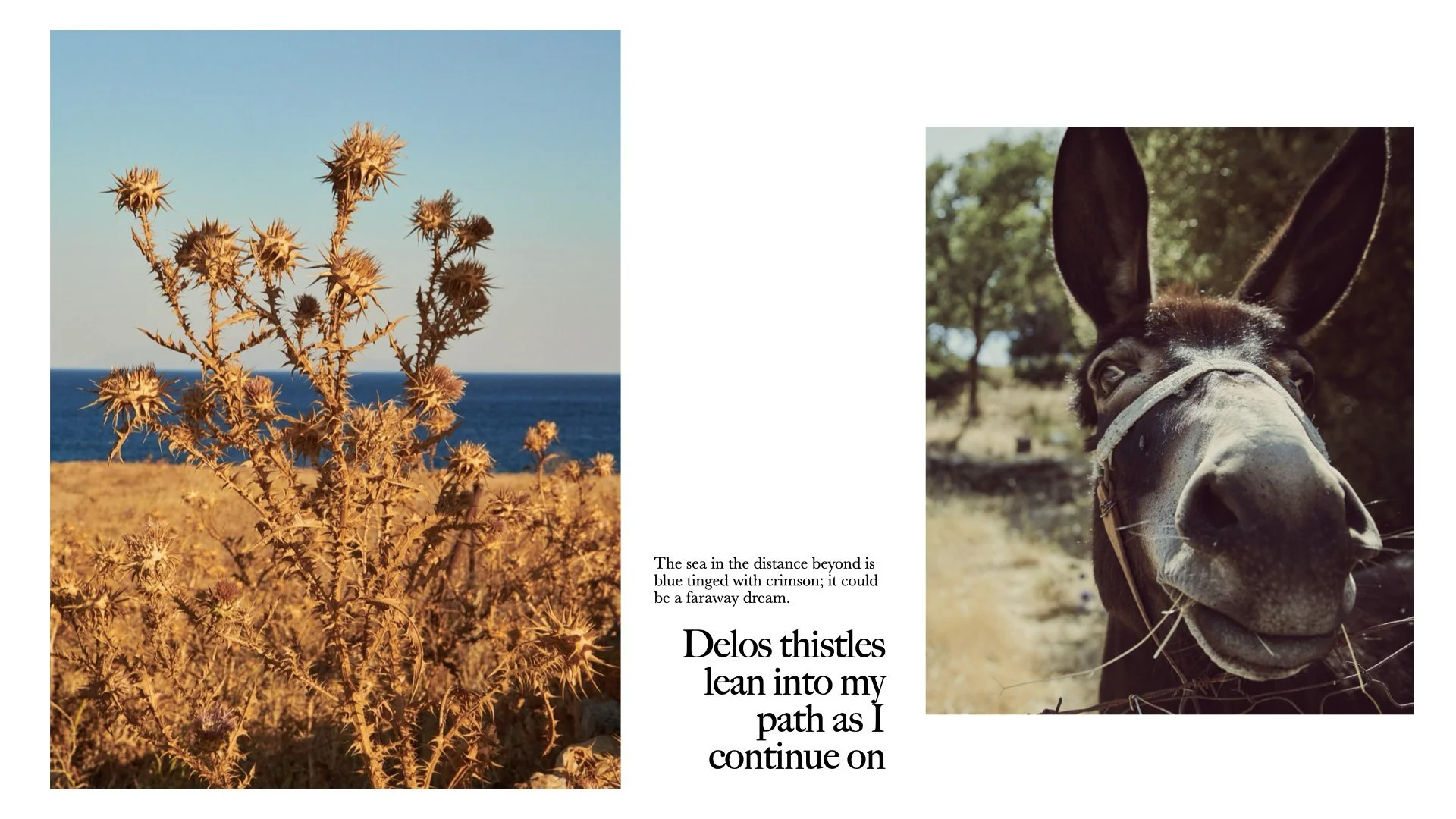 lesvos+preview+reduced.047.jpeg