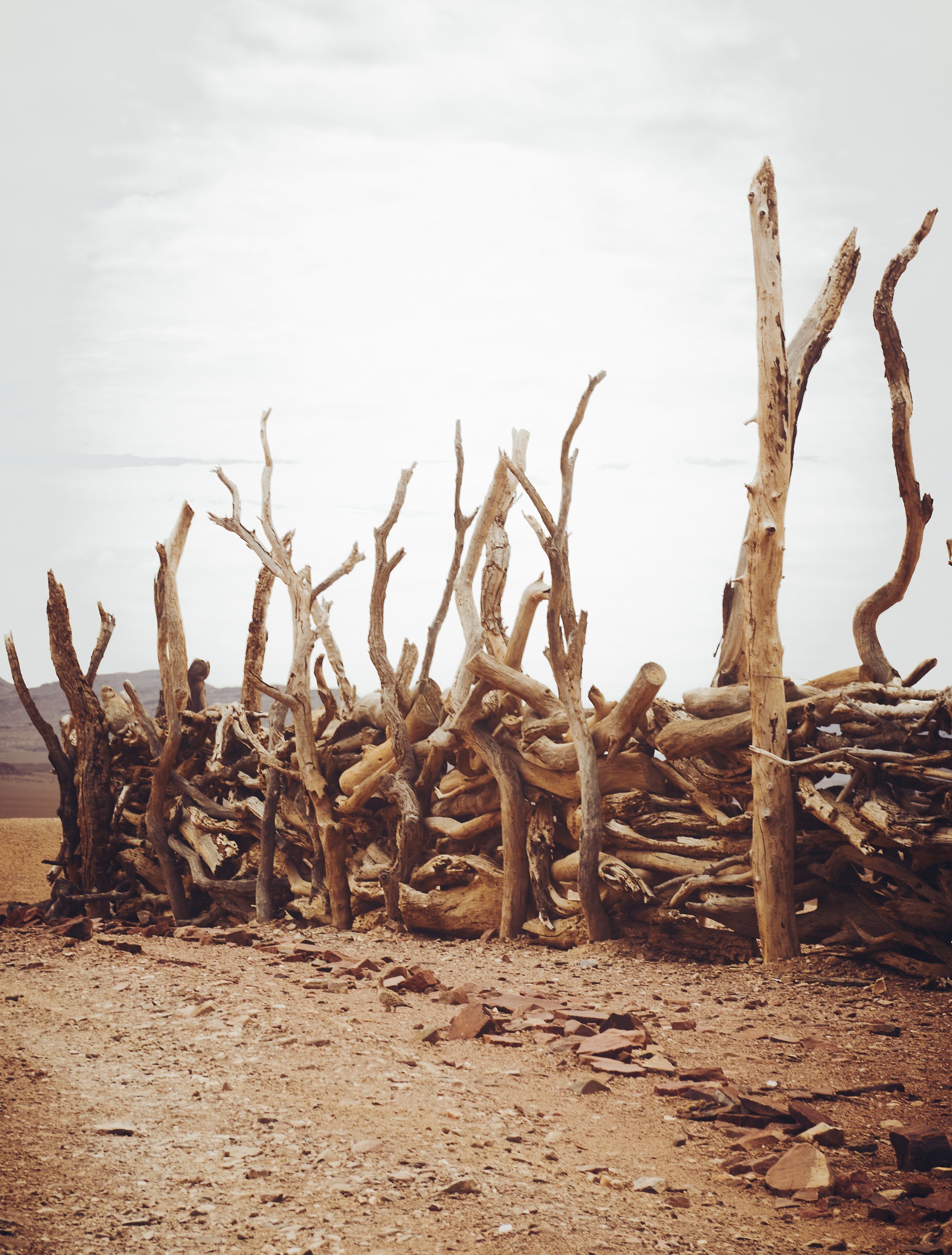 Namibia HIMBA_32.jpg