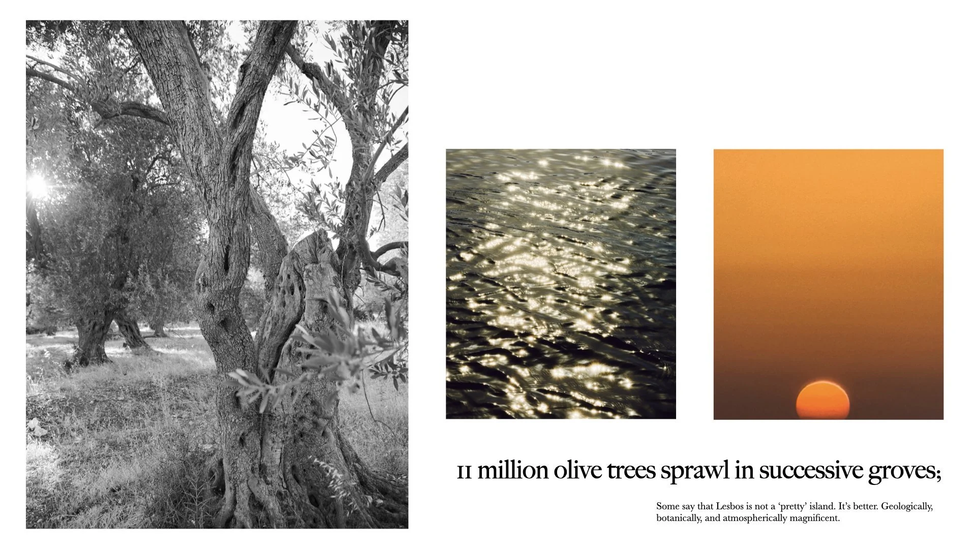 lesvos+preview+reduced.005.jpeg