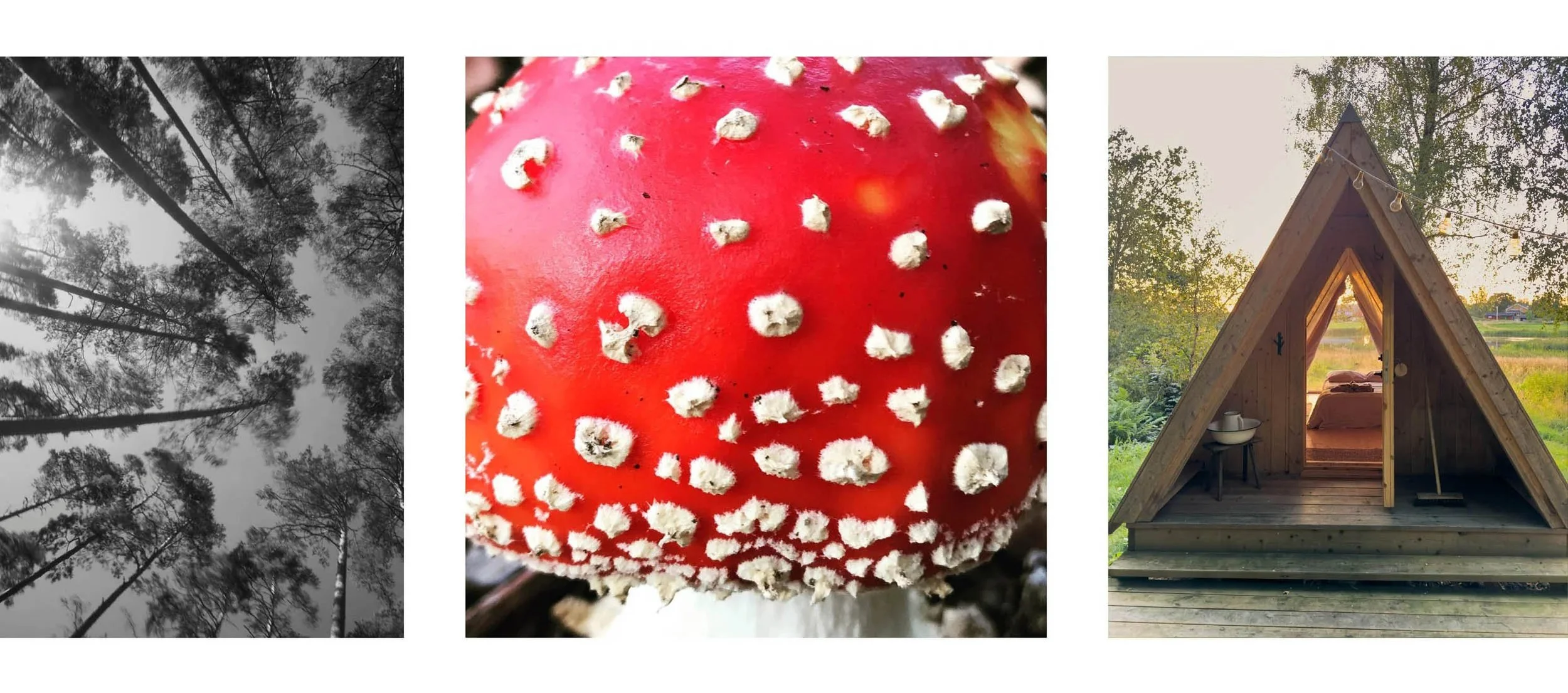 TRAV_SWEDEN_collage-8.jpg