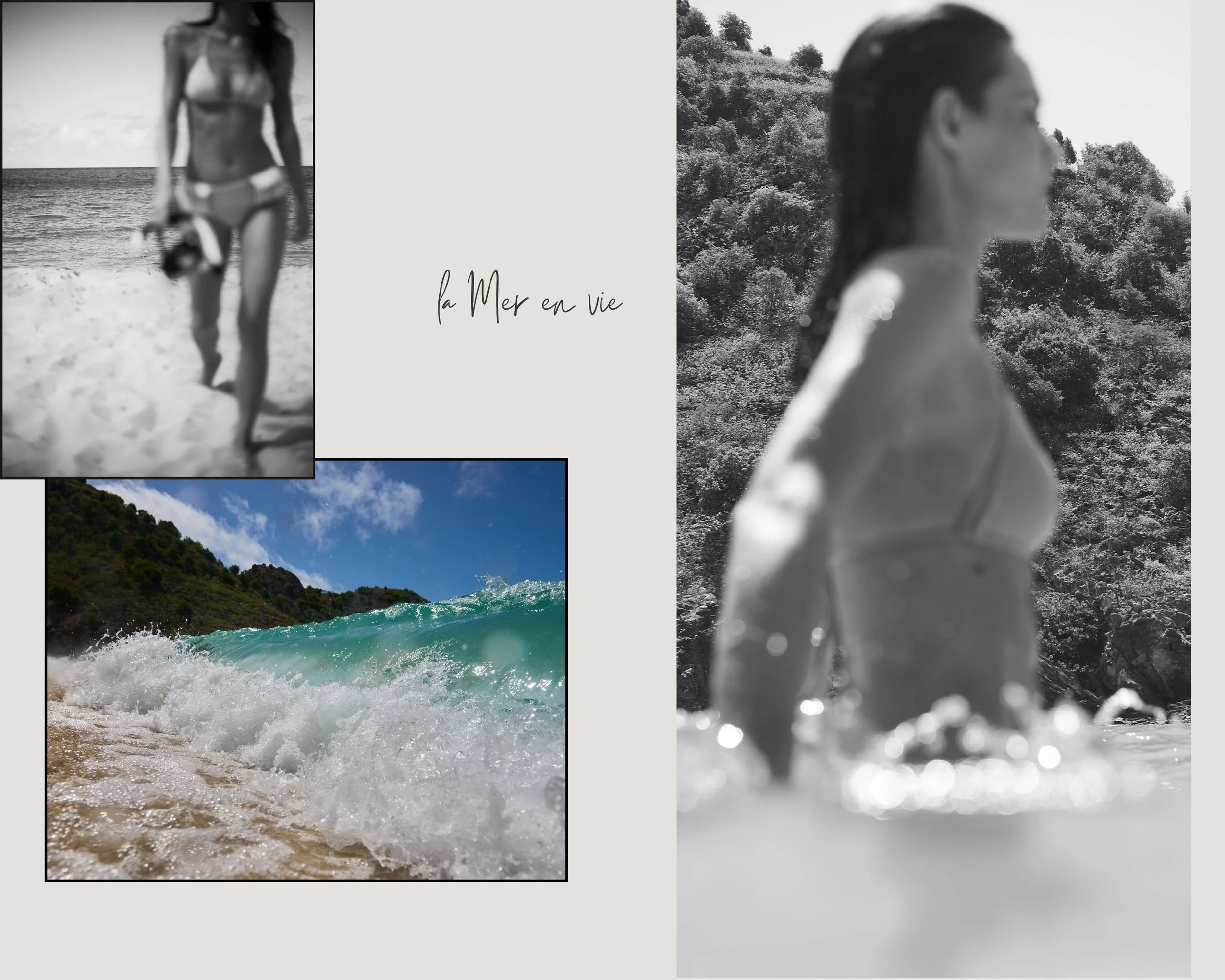 STBARTS_06.jpg