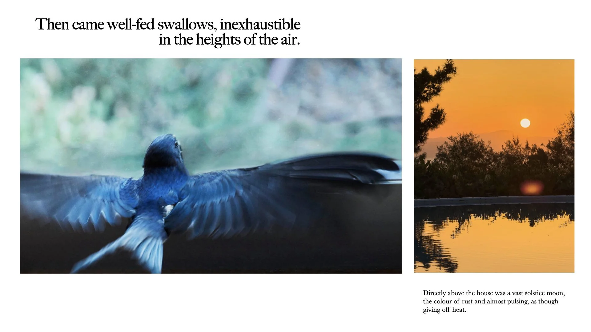 lesvos+preview+reduced.022.jpeg