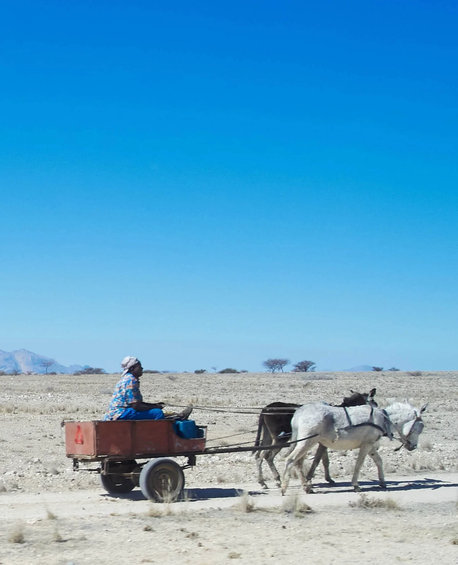 Namibia_road-23.jpg