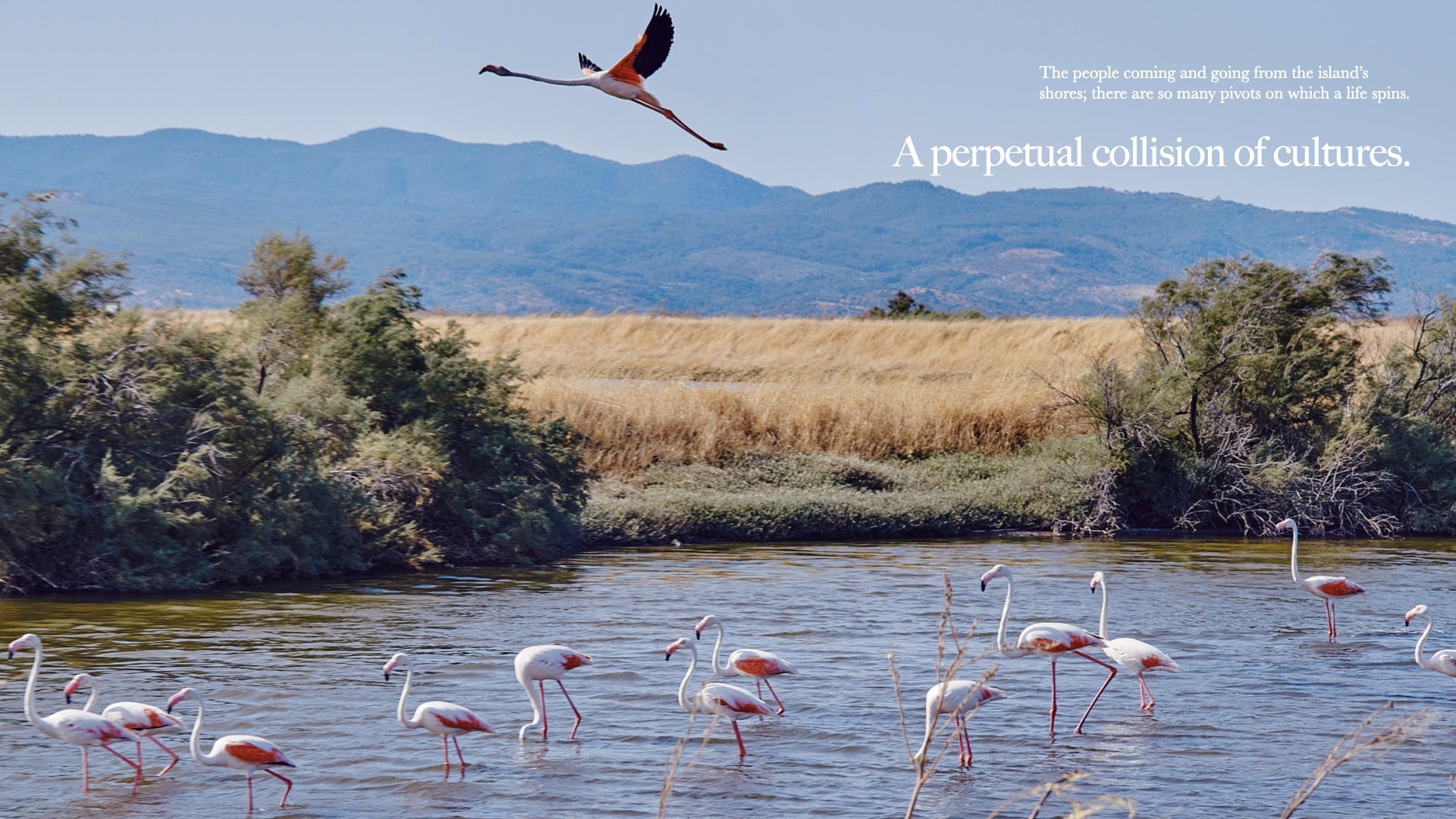 lesvos+preview+reduced.036.jpeg
