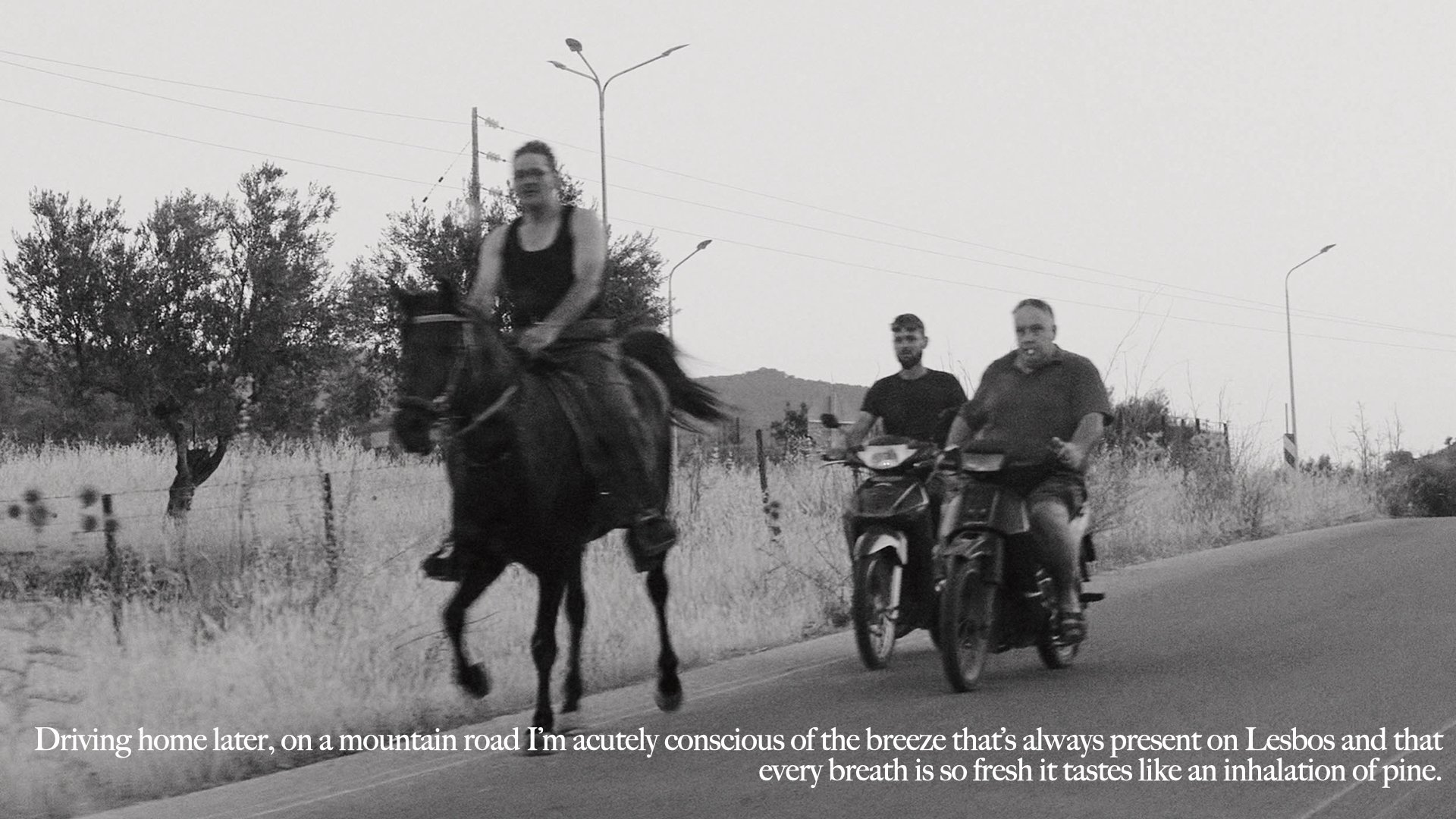 lesvos+preview+reduced.038.jpeg