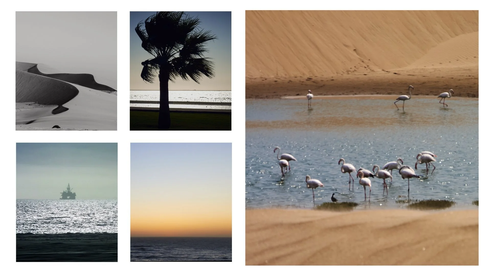 Namibia_road-16.jpeg