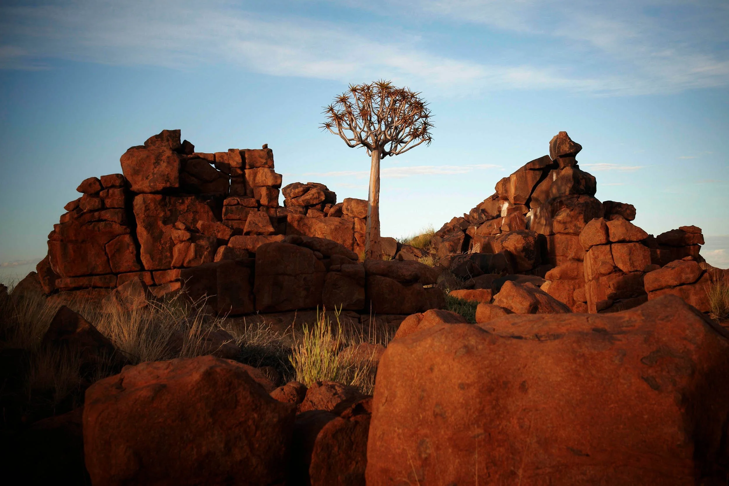 Namibia_road-07.jpg
