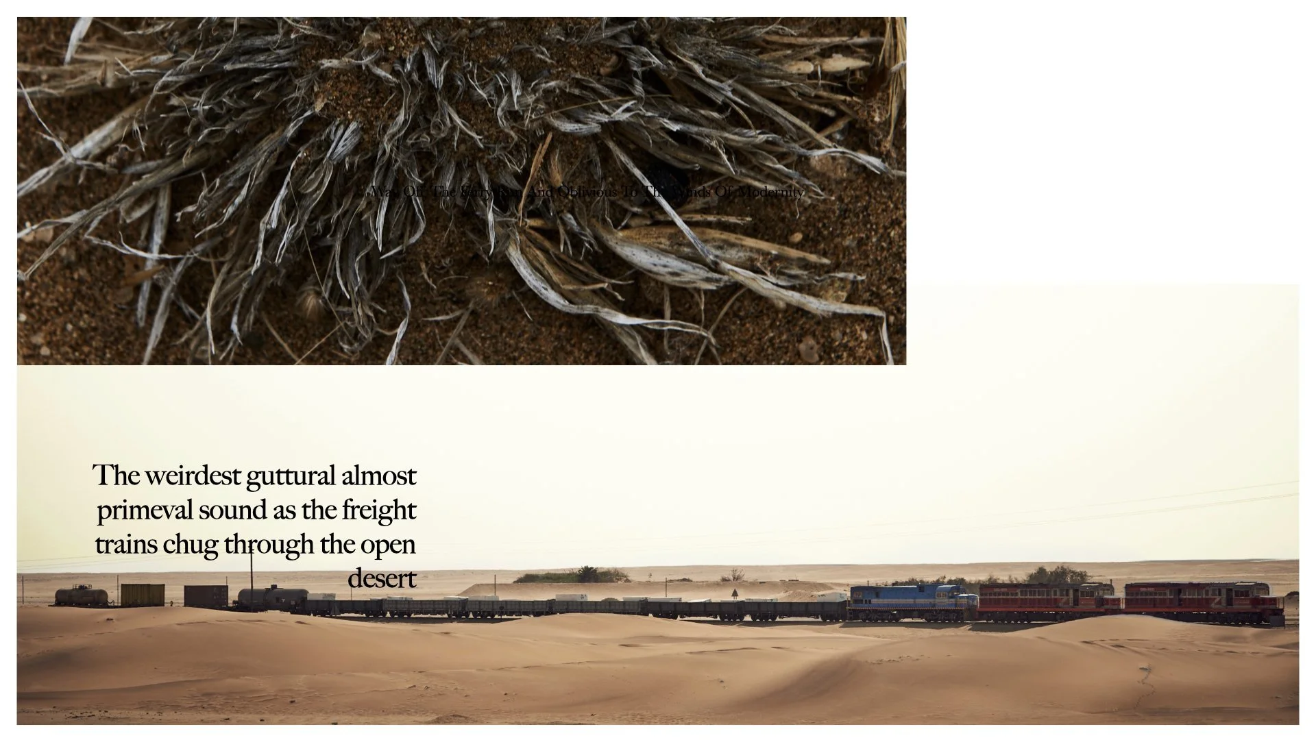 Namibia_road-20.jpeg