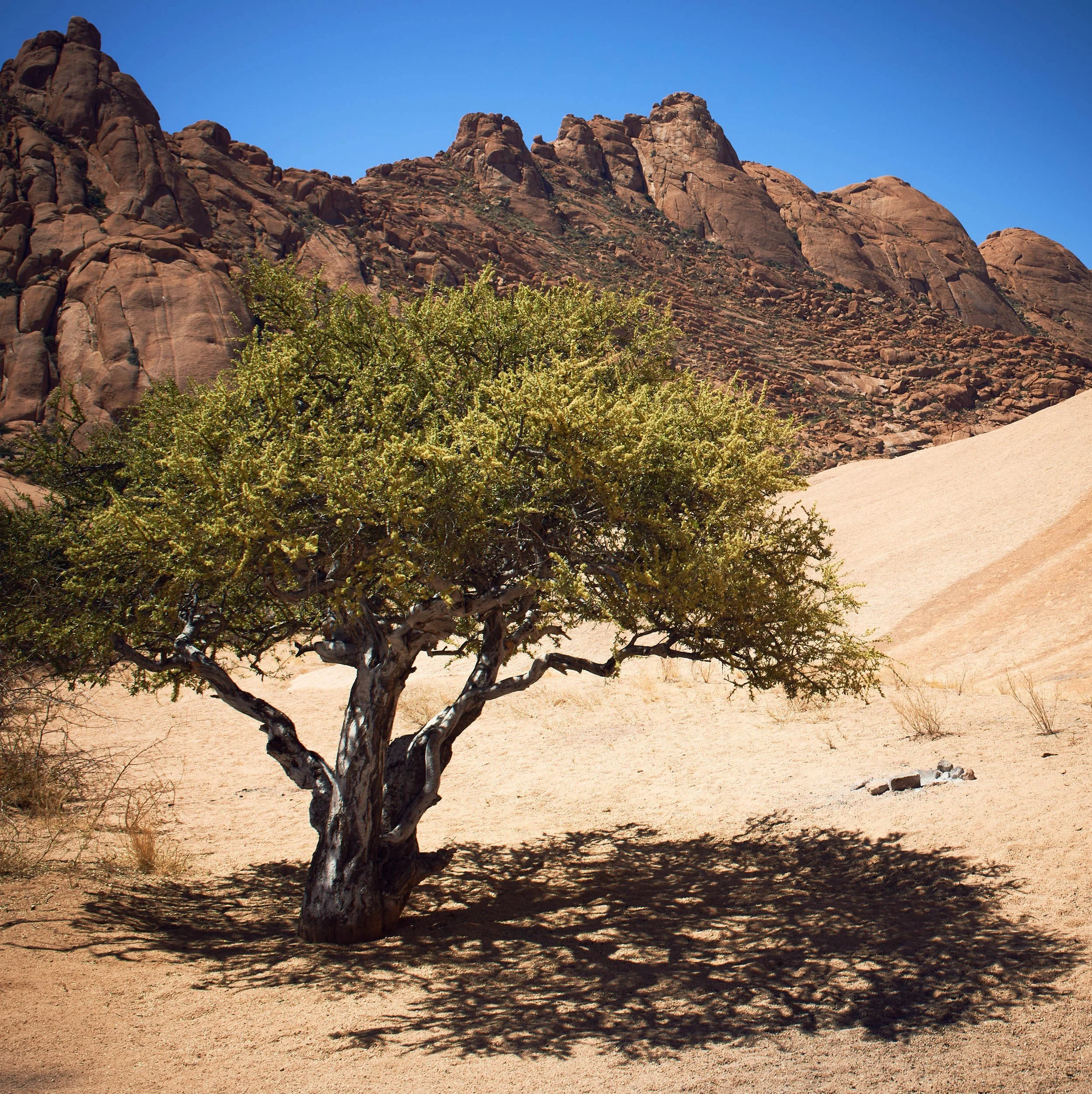 Namibia_road-29.jpg