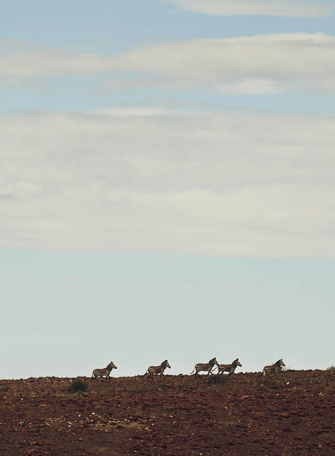 Namibia HIMBA_13.jpg