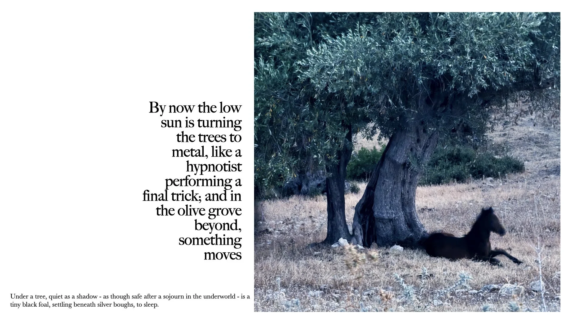 lesvos+preview+reduced.048.jpeg
