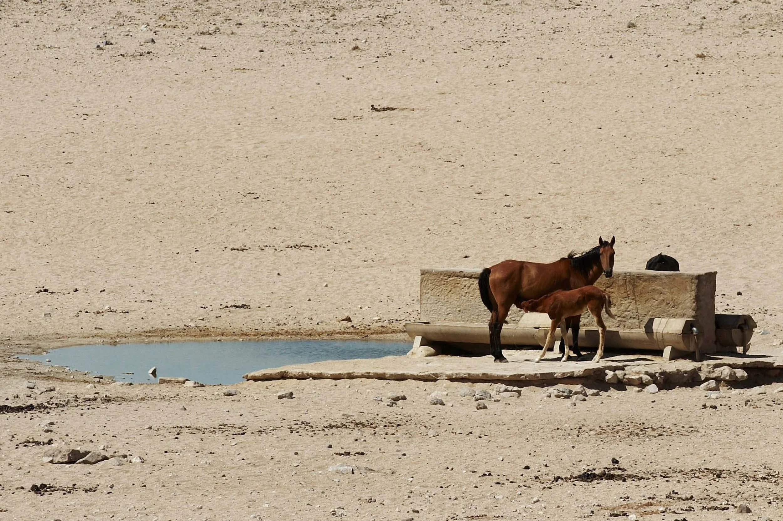 Namibia_road-10.jpg