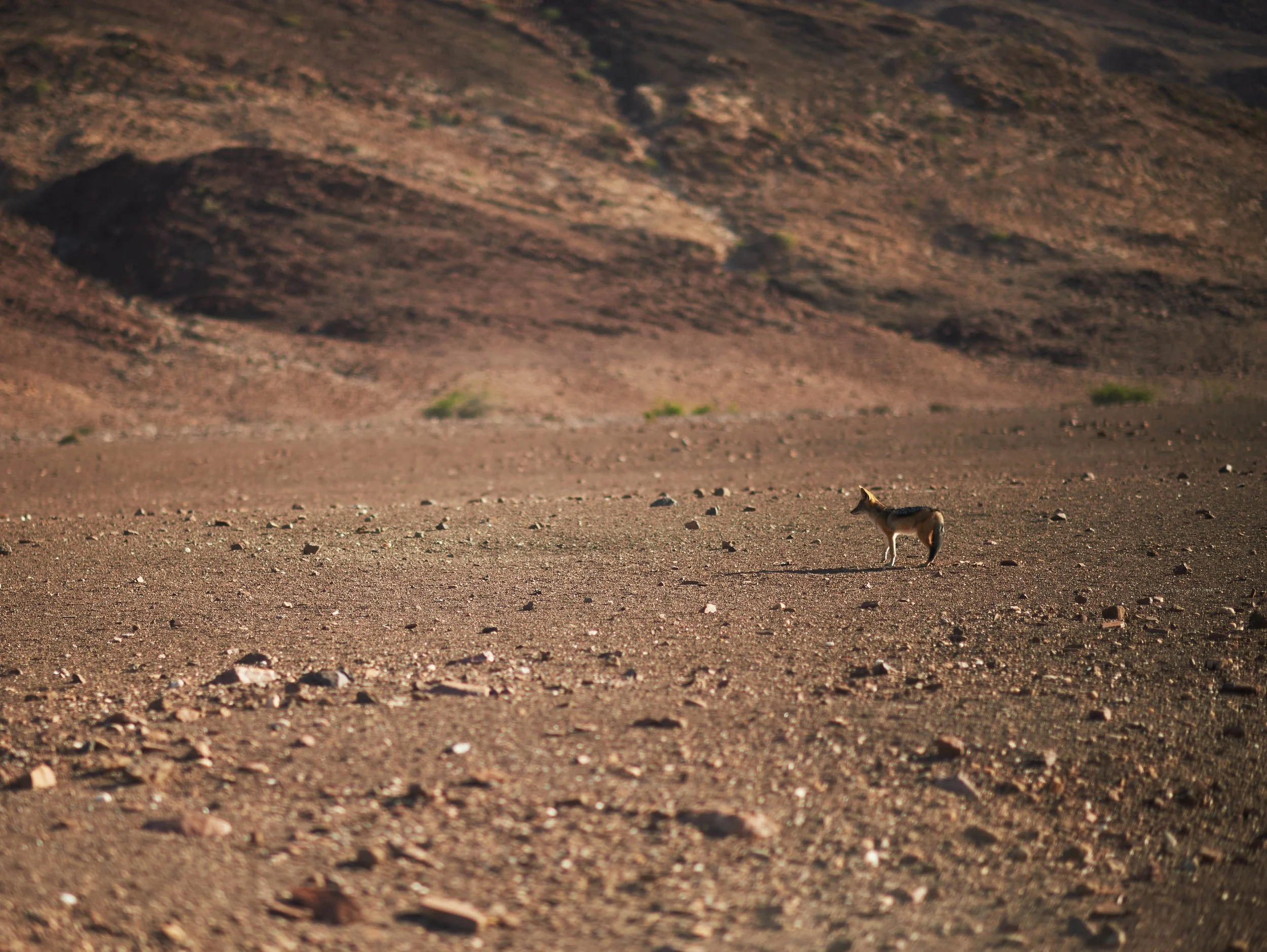 Namibia HIMBA_21.jpg