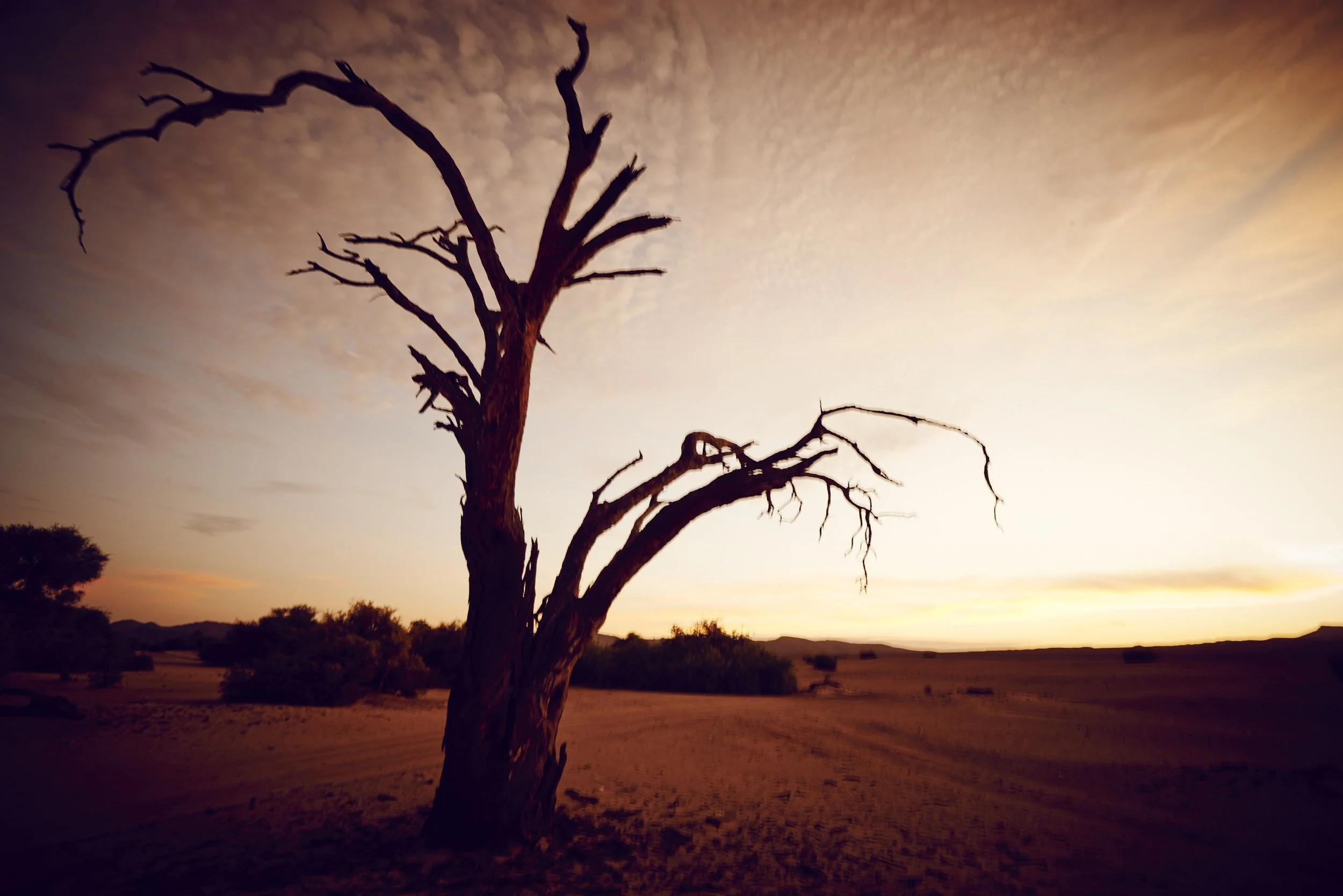 Namibia HIMBA_31.jpg