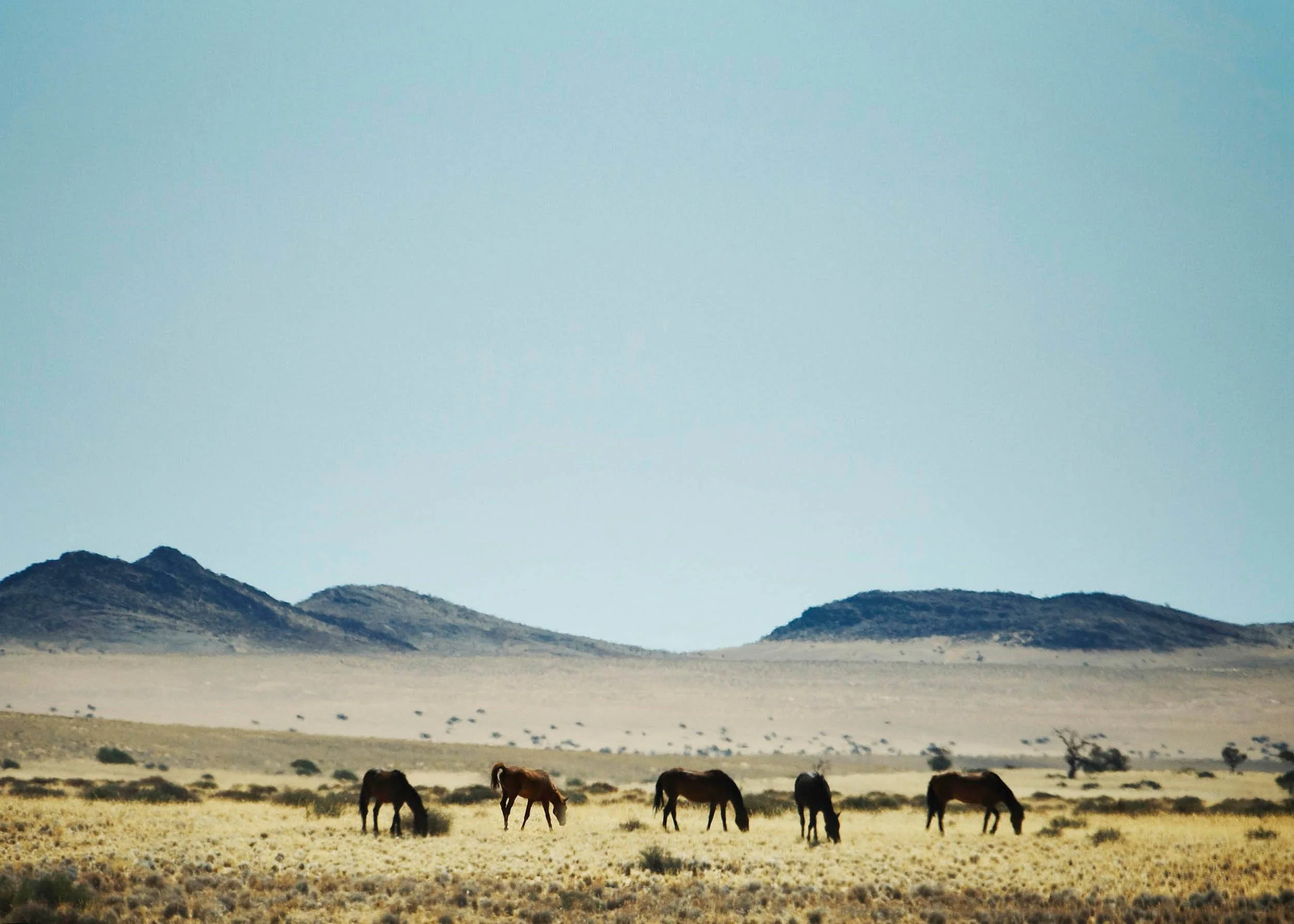 Namibia_road-09.jpg