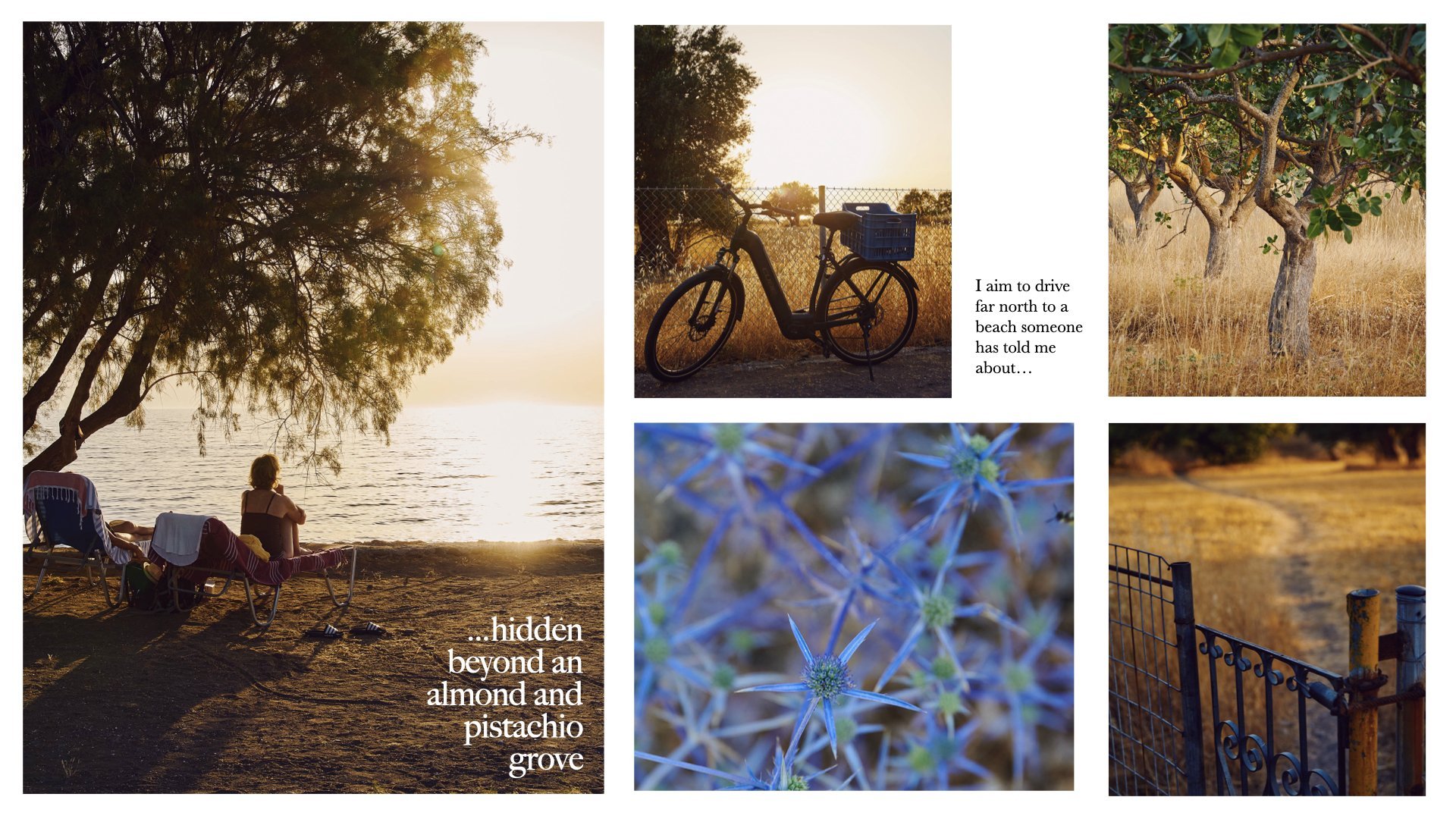 lesvos+preview+reduced.023.jpeg