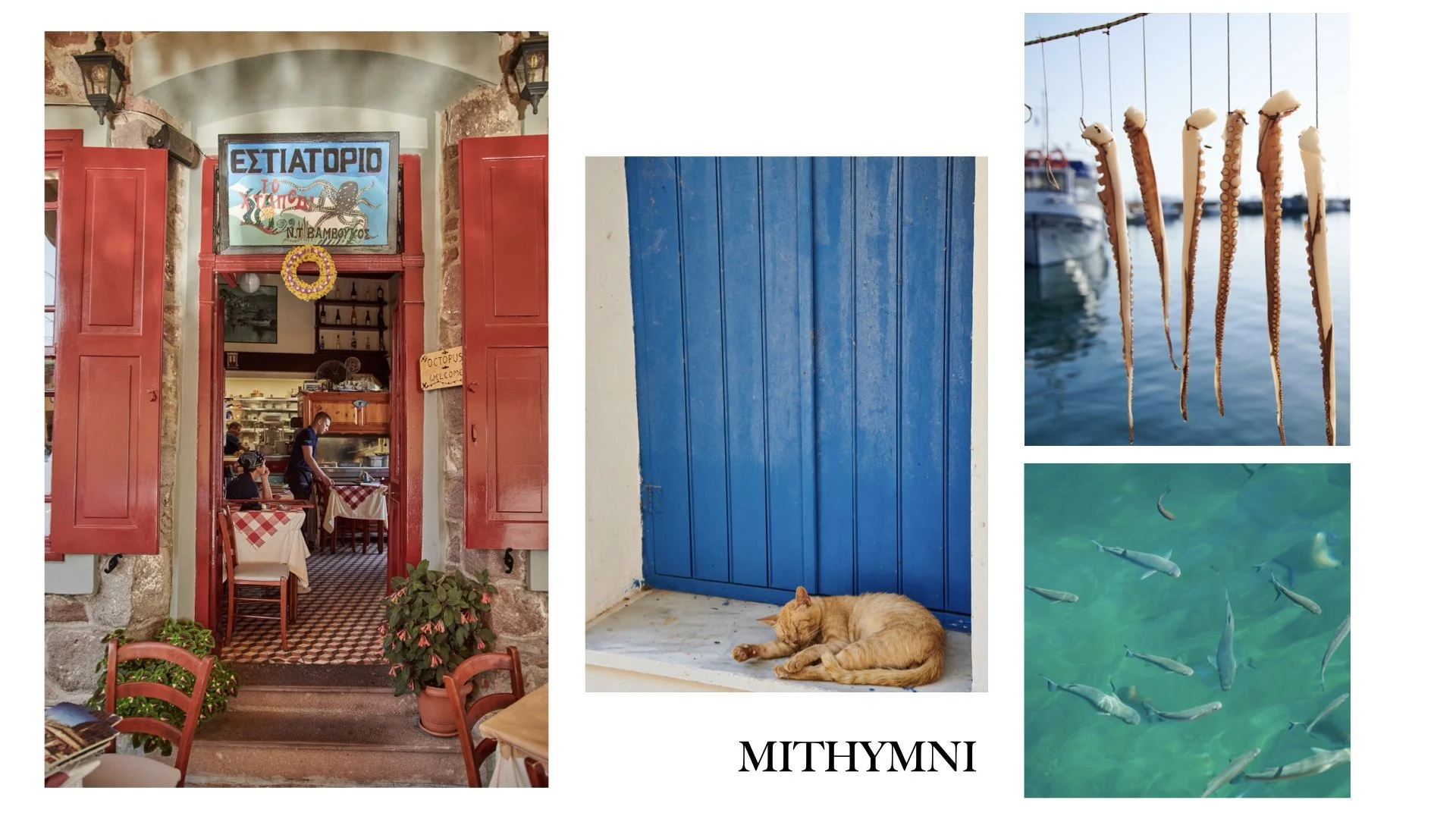 lesvos+preview+reduced.044.jpeg
