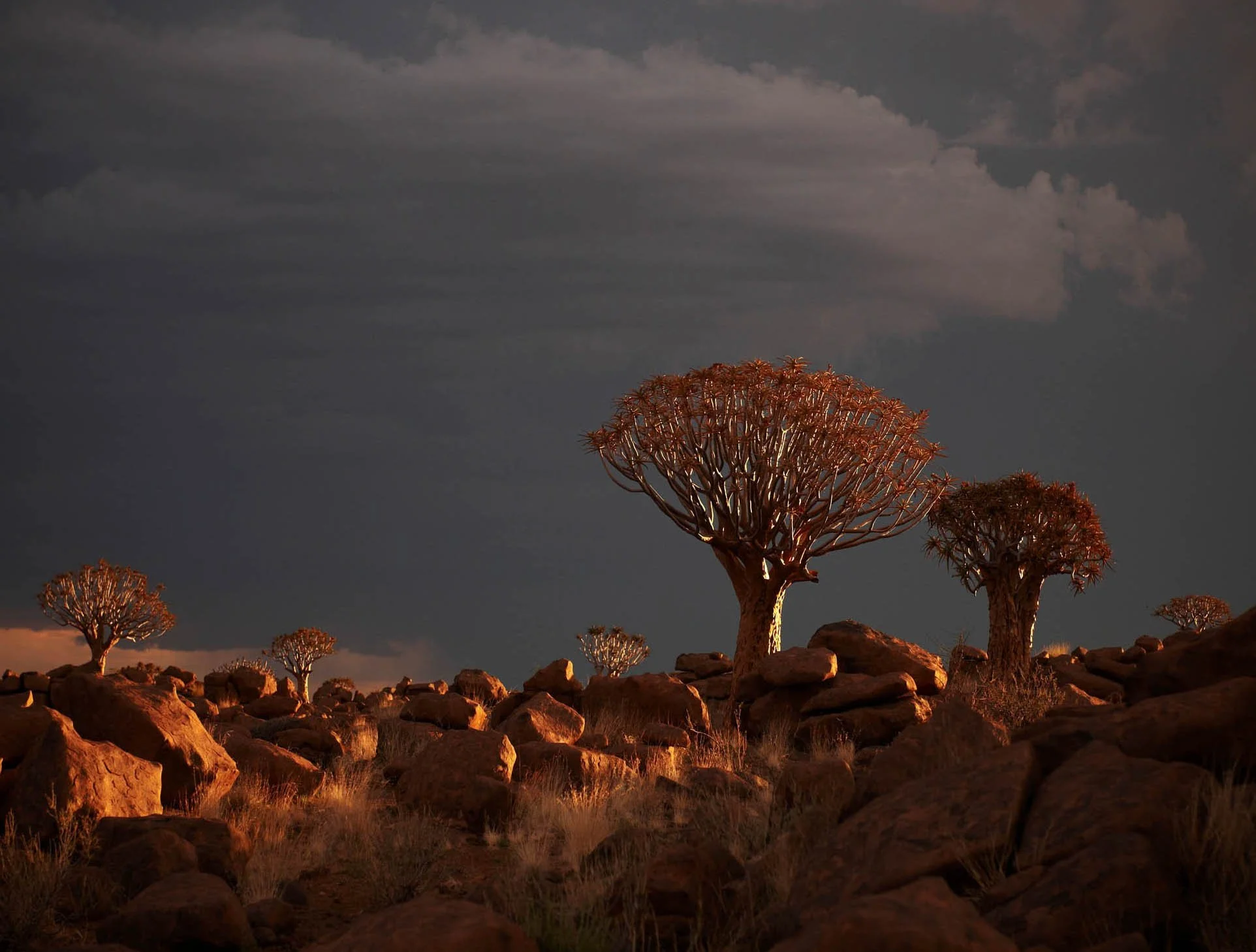 Namibia_road-03.jpg