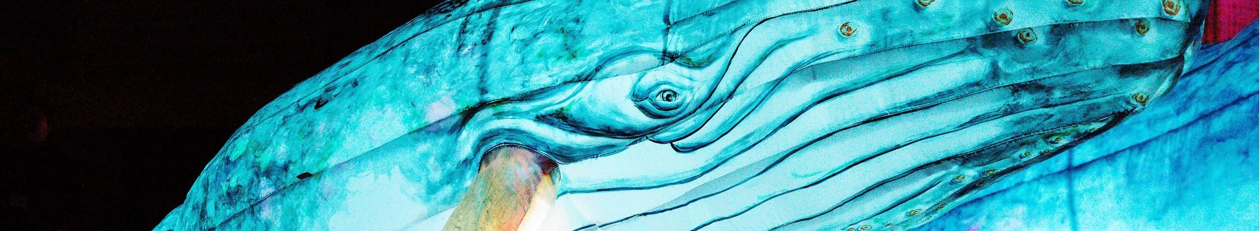 Close-up of a whale puppet with vibrant blue colors, showing the whale's eye, mouth, and part of its body.