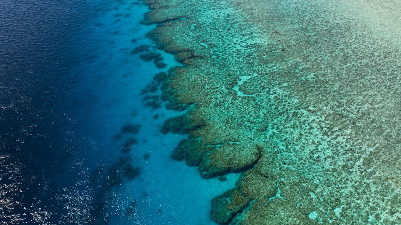 Aerial view of a coral reef meeting the ocean, with clear turquoise water around the reef and darker blue open sea.