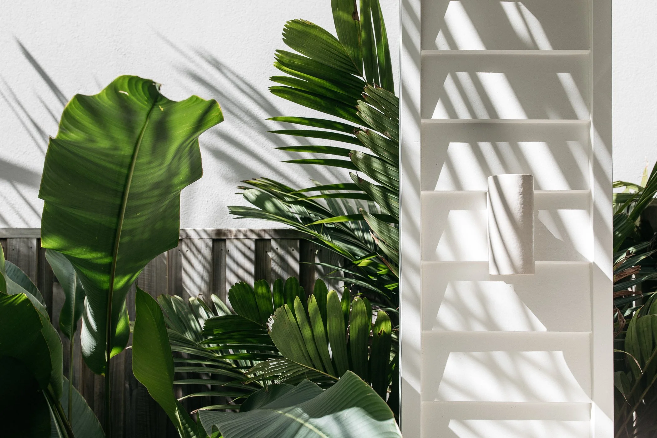 Sunlight casting shadows on a white wooden shelf and various large green tropical leaves, including a banana leaf, outside against a white wall.