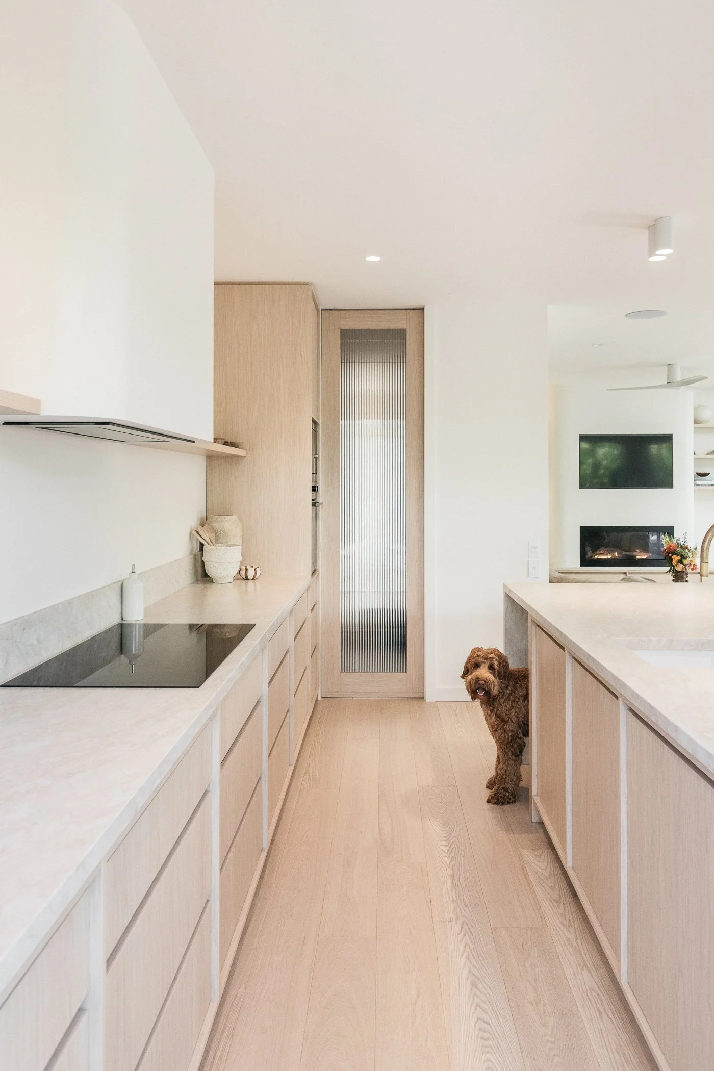 A modern kitchen with light wood cabinets and a matching floor. A brown dog is standing under the counter, looking towards the camera. There is a TV on the wall in the background, fire in the fireplace, and ceiling fans on the white ceiling.