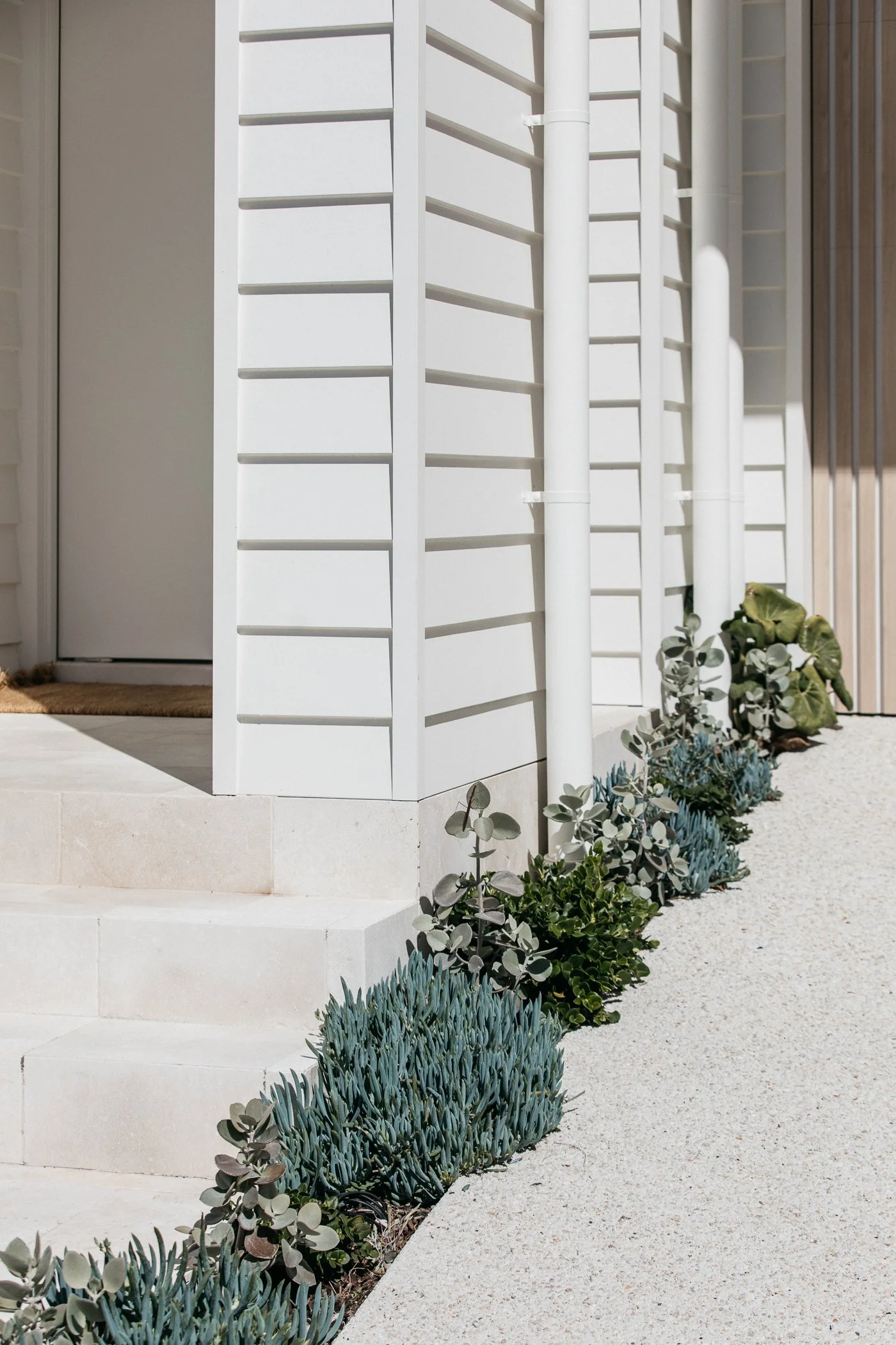 Close-up of a modern white house exterior with horizontal wooden slat siding, potted plants, succulents, and a concrete pathway with steps.
