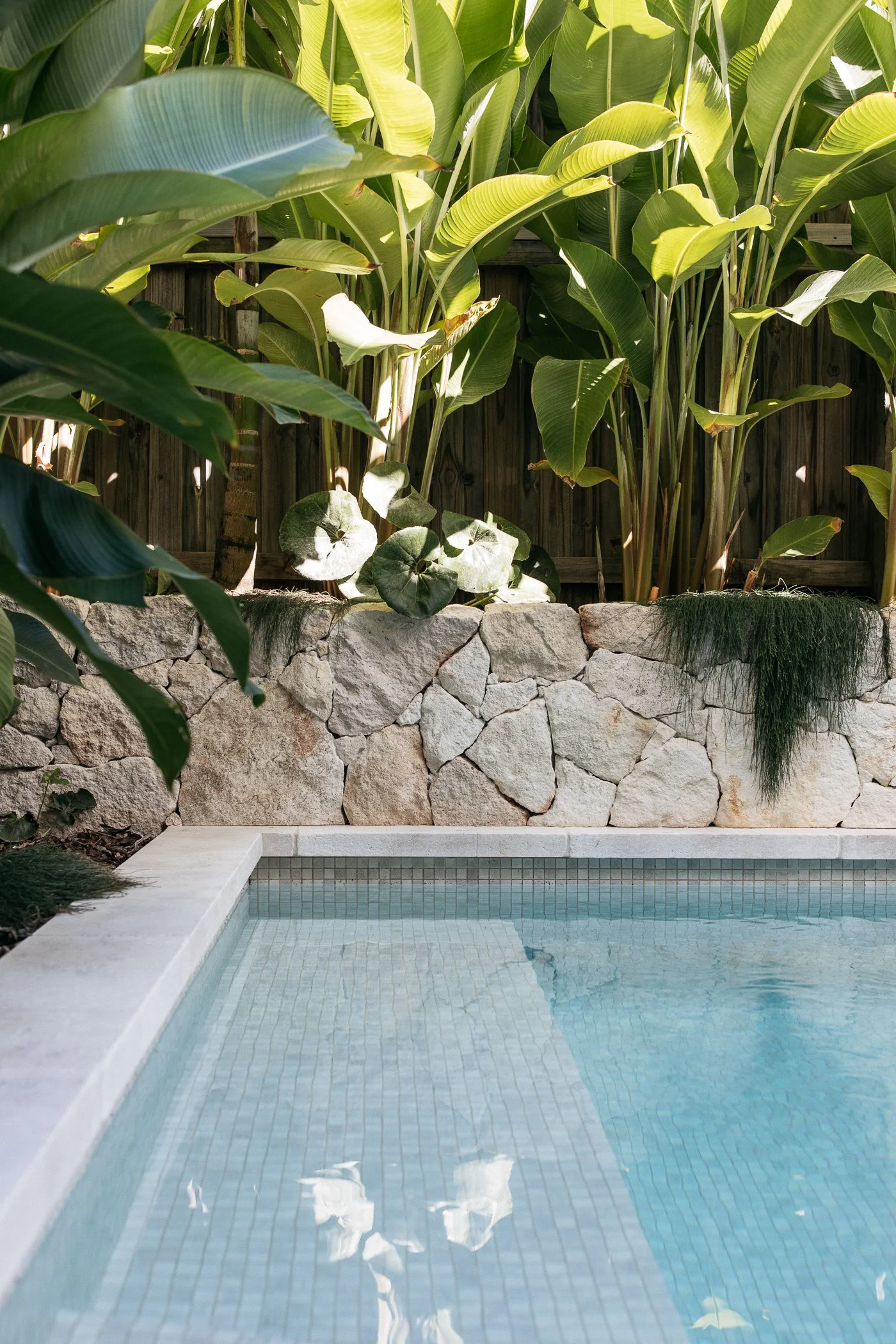 A swimming pool with clear water, surrounded by a stone and wood fence, lush green tropical plants, and trees.