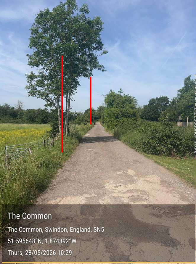 A rural dirt road surrounded by greenery and trees on a sunny day in Swindon, England, with a large tree on the left side and bushes on the right.