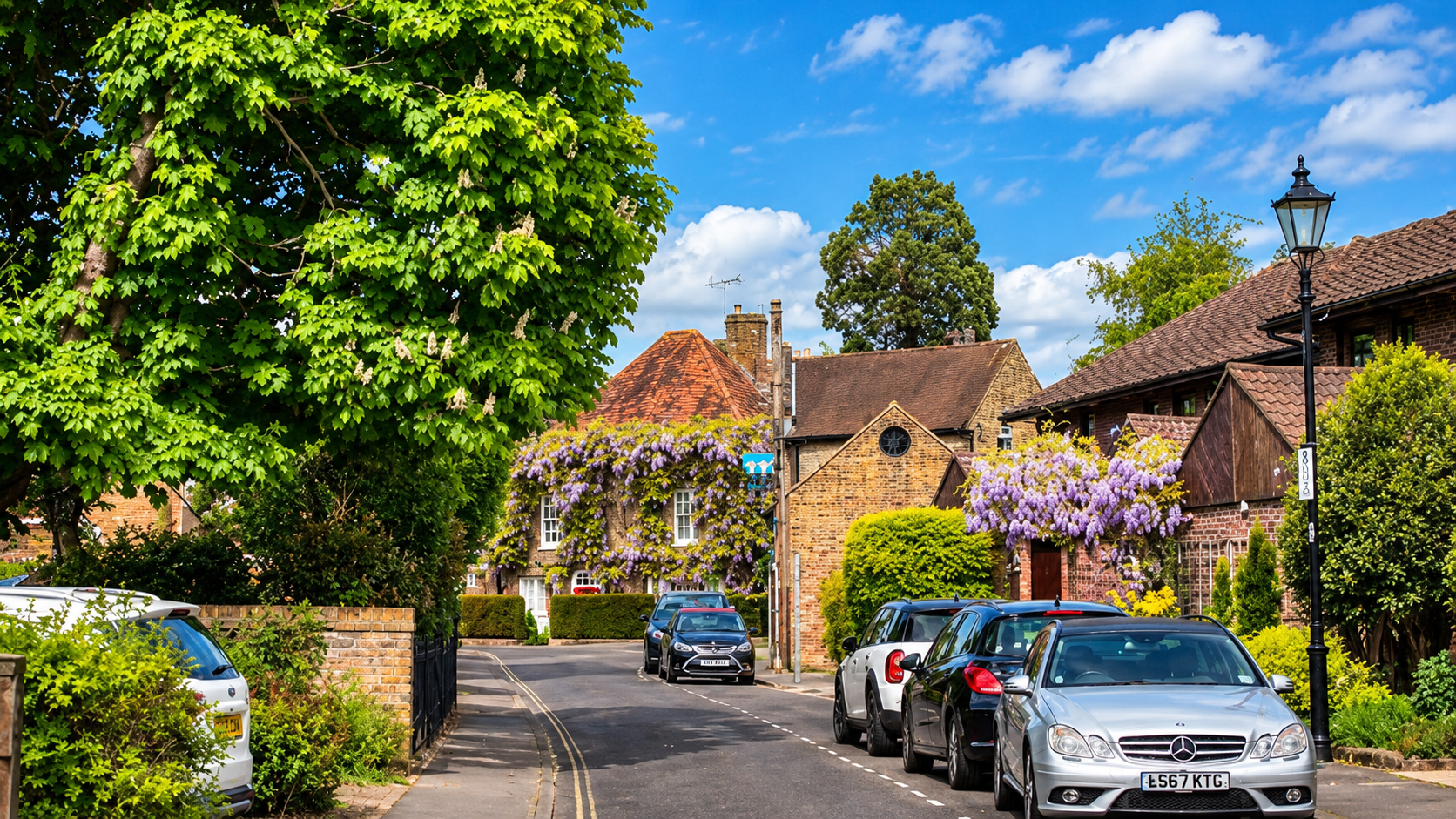 A quiet suburban street with cars parked along the curb, houses covered in purple flowering vines, tall green trees, a blue sky with some clouds, and a traditional streetlamp.