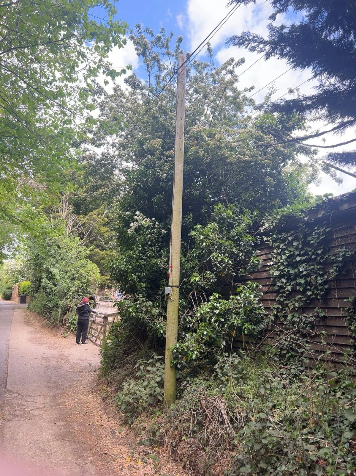 A narrow, dirt pathway running alongside a wooden fence and overgrown with bushes and trees. A person is seen walking along the trail next to a utility pole with wires overhead. The scene appears to be in a rural or suburban neighborhood with greenery and trees lining the path.