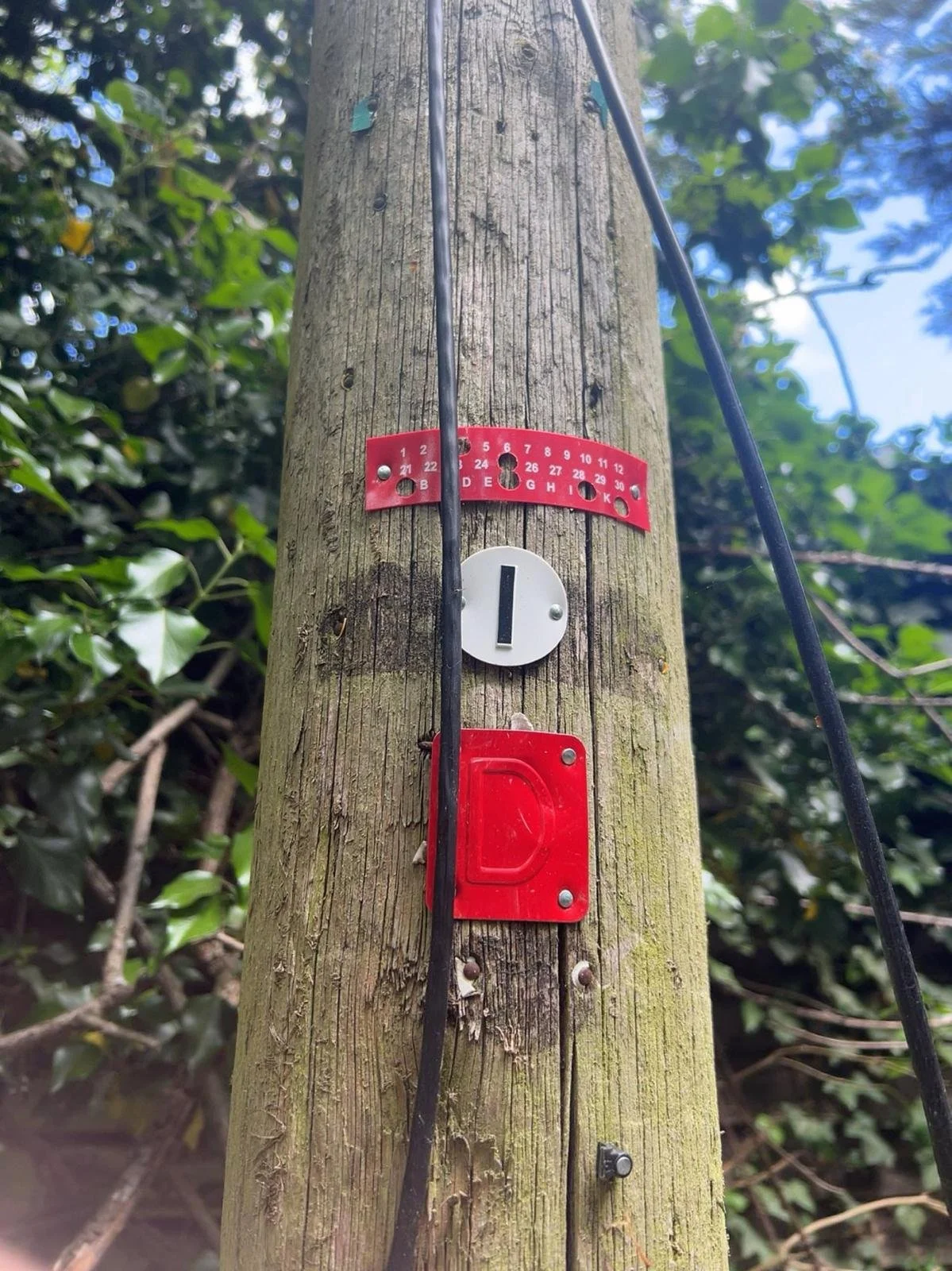 A wooden utility pole with various attachments. There is a red plastic marked with letters and numbers, a white circular marker with the letter 'I', a red box at the bottom, and black cables attached. Surrounding greenery and blue sky in the background.