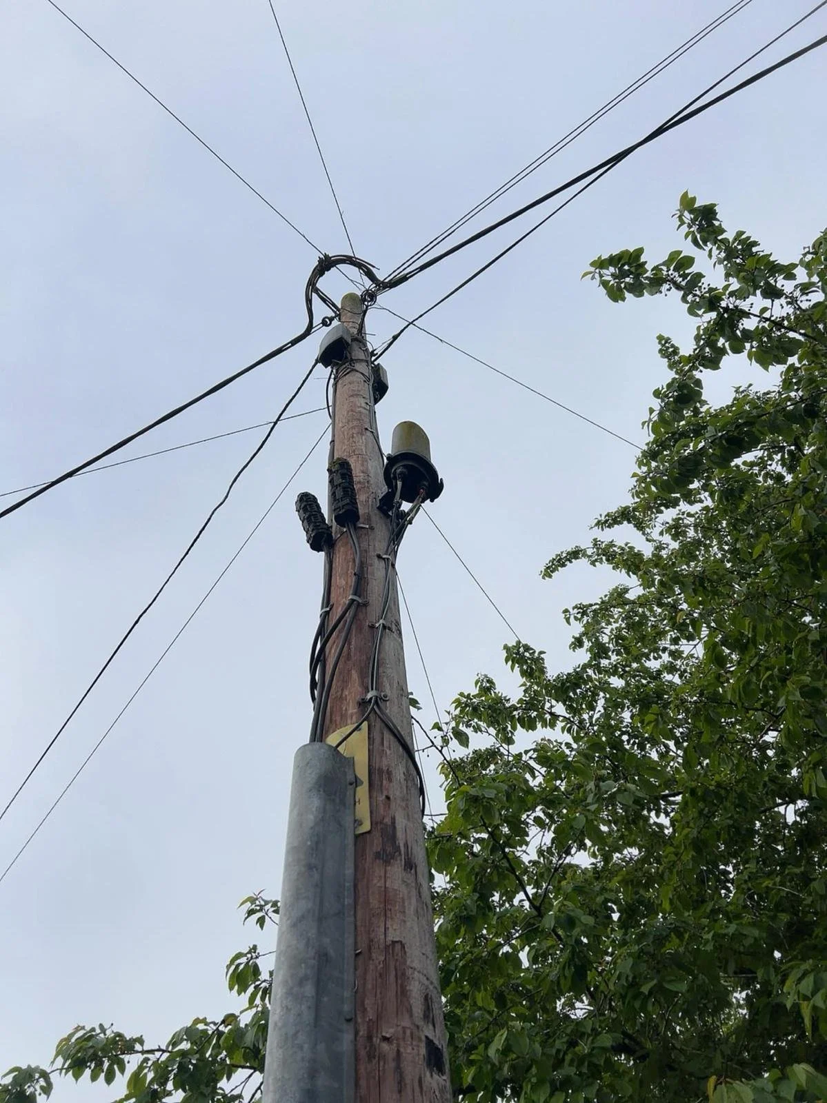 A utility pole with electrical wires and equipment, surrounded by green tree leaves against a cloudy sky.