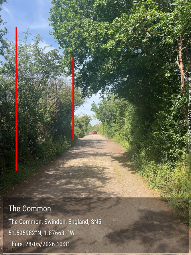 A tree-lined dirt road with greenery on both sides and shadows cast on the ground, showing a glimpse of a red vehicle in the distance.
