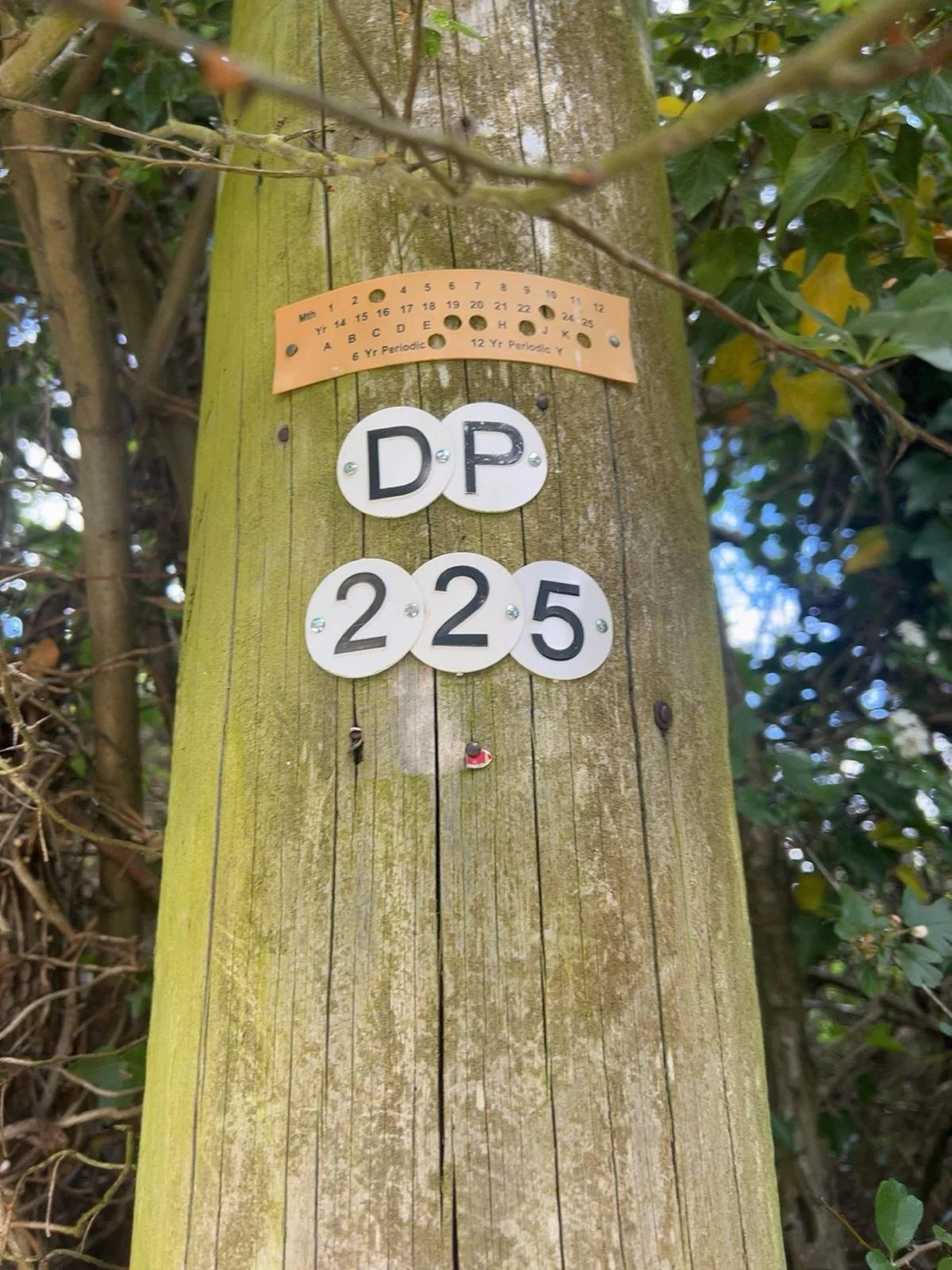 A wooden utility pole with various signs attached to it, including white circular tags with black letters and numbers and a small orange circular sticker at the bottom. The background shows green leaves and branches.