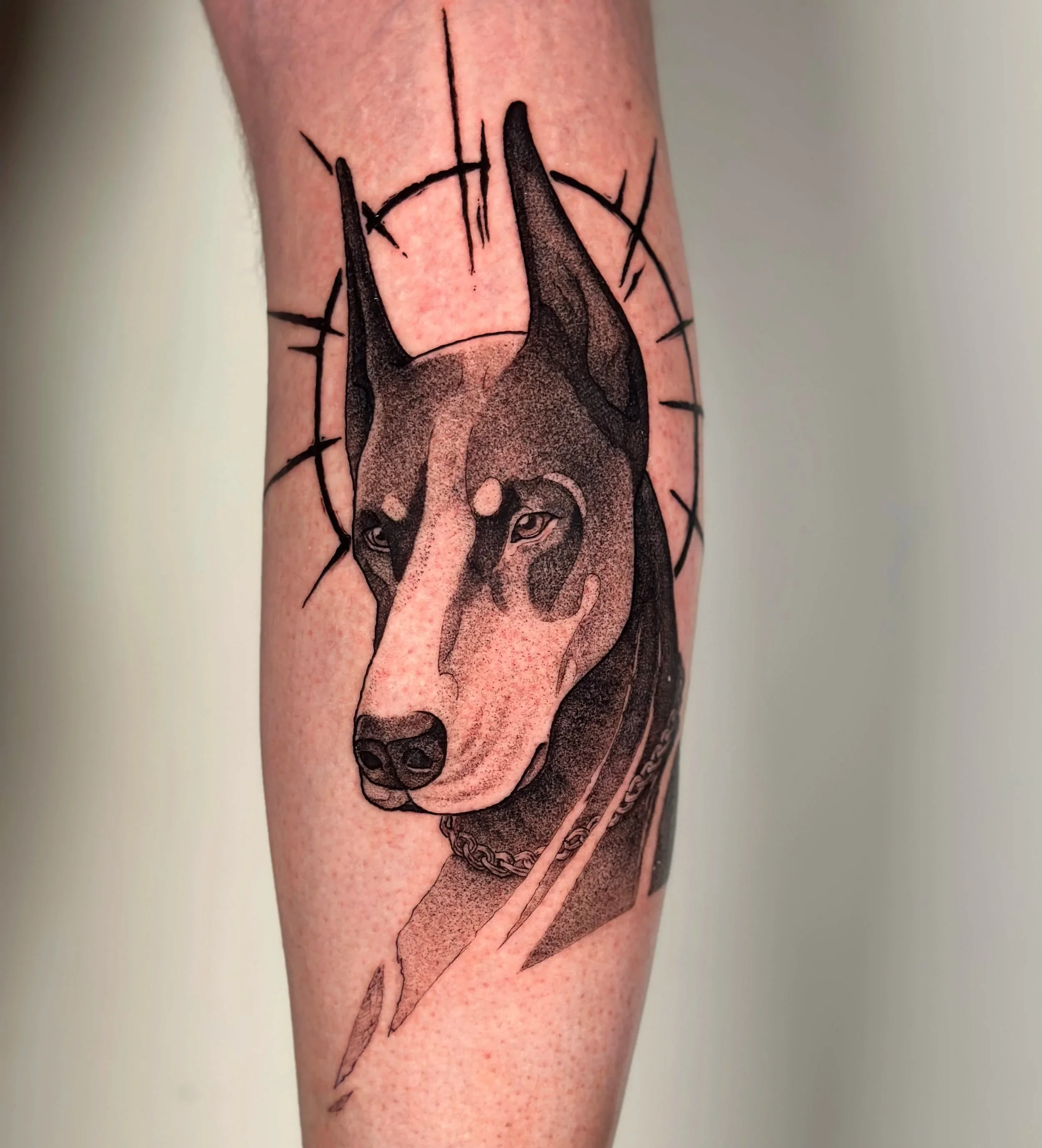 Close-up of a tattoo of a dogs's face with a chain design on a person's leg. its a dobermann