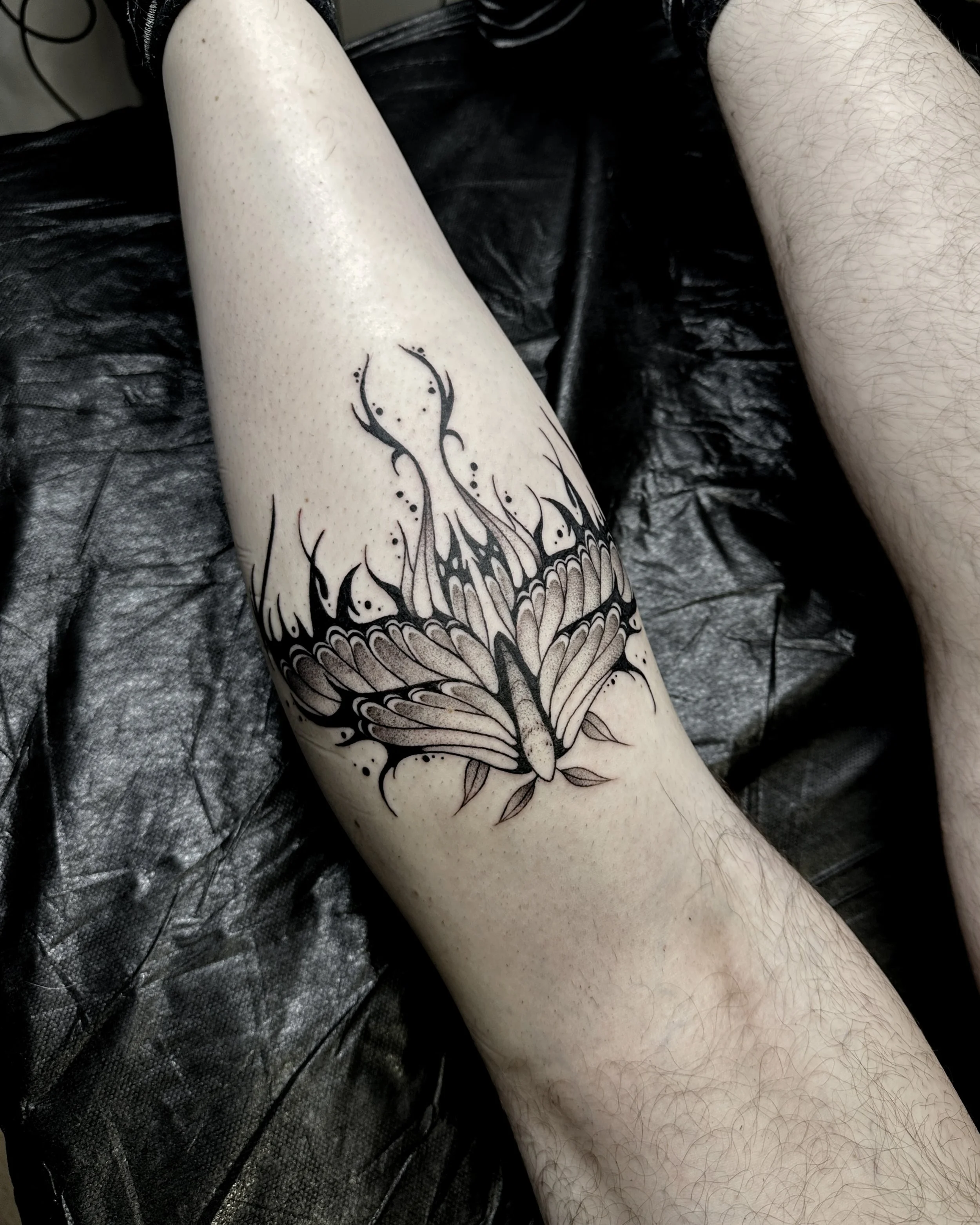 A person's arm with a black moth with tribal elements, resting on a black surface.