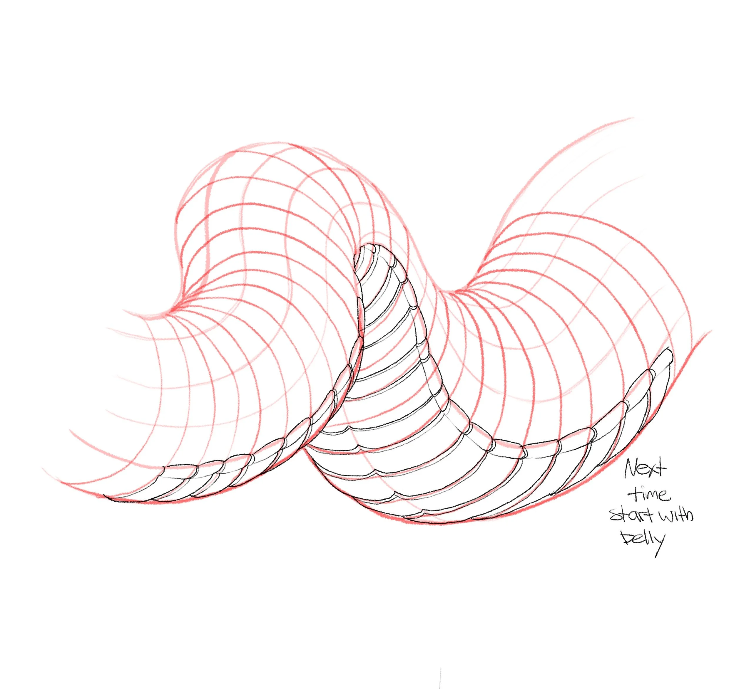 A hand-drawn sketch of a snake coiled around a wall with spiral patterns, with a handwritten note that reads 'Next time start with belly'.