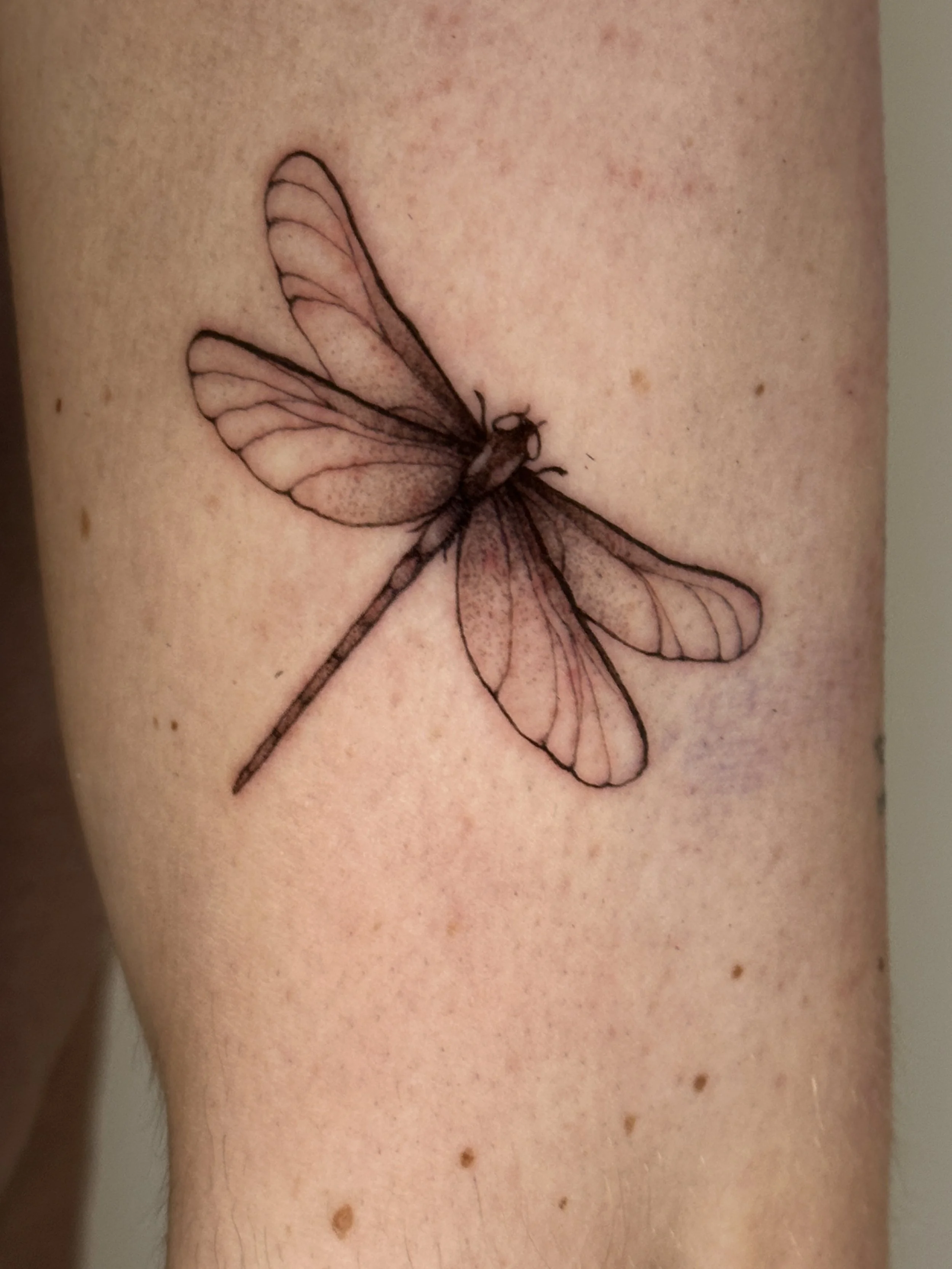 Tattoo of a dragonfly on person's skin.
