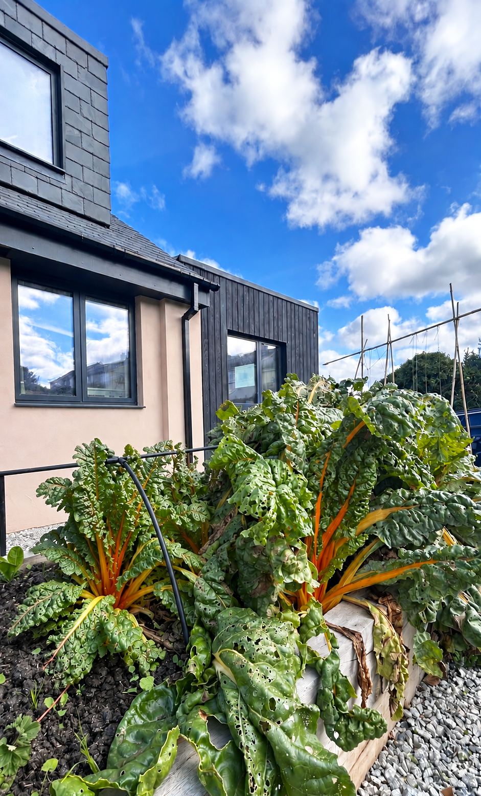 studio-hab-crantock-stcarantocway-frontview.webp