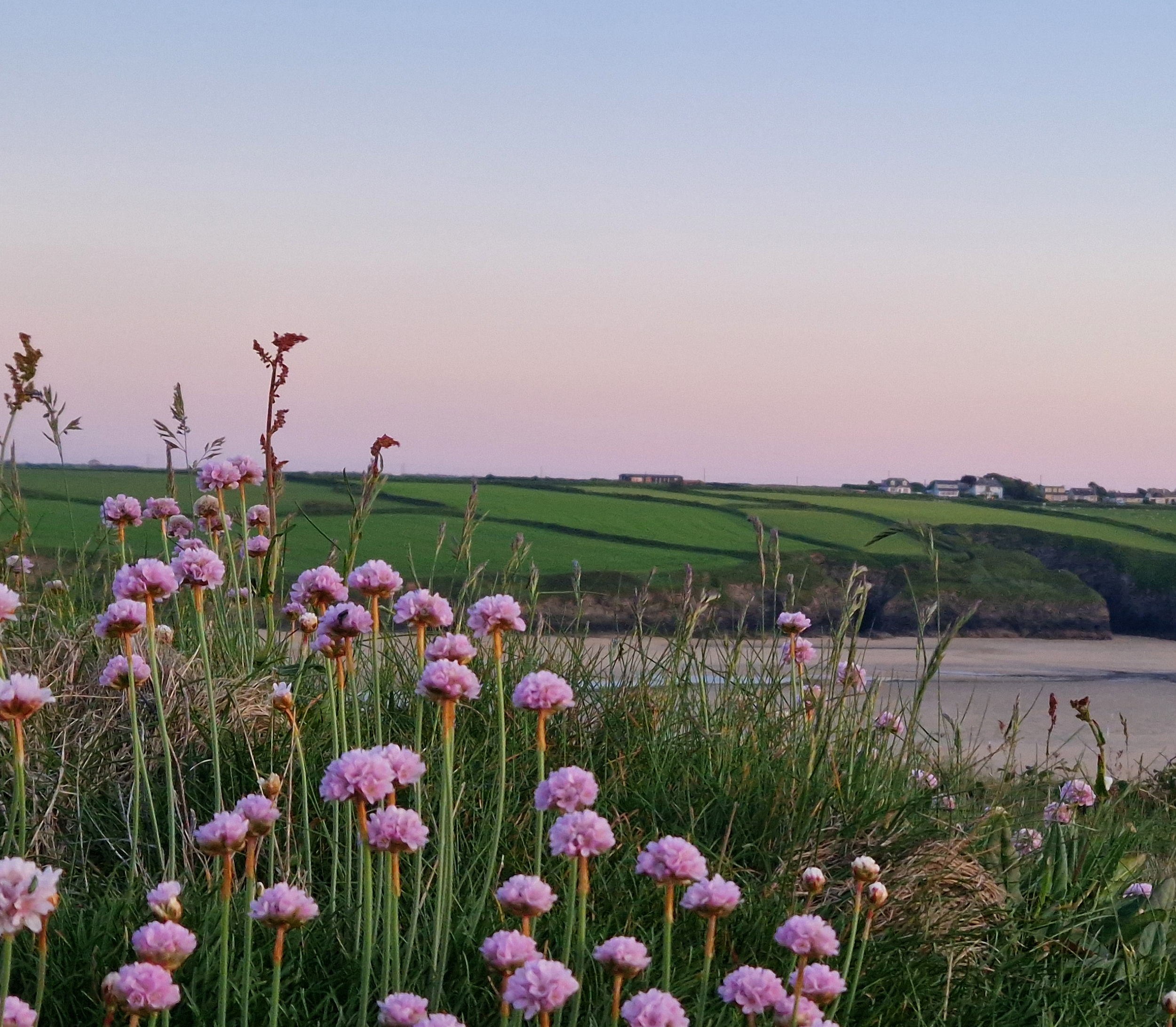 studio-hab-crantock-westpentire-thepiggery-sunsetview.webp