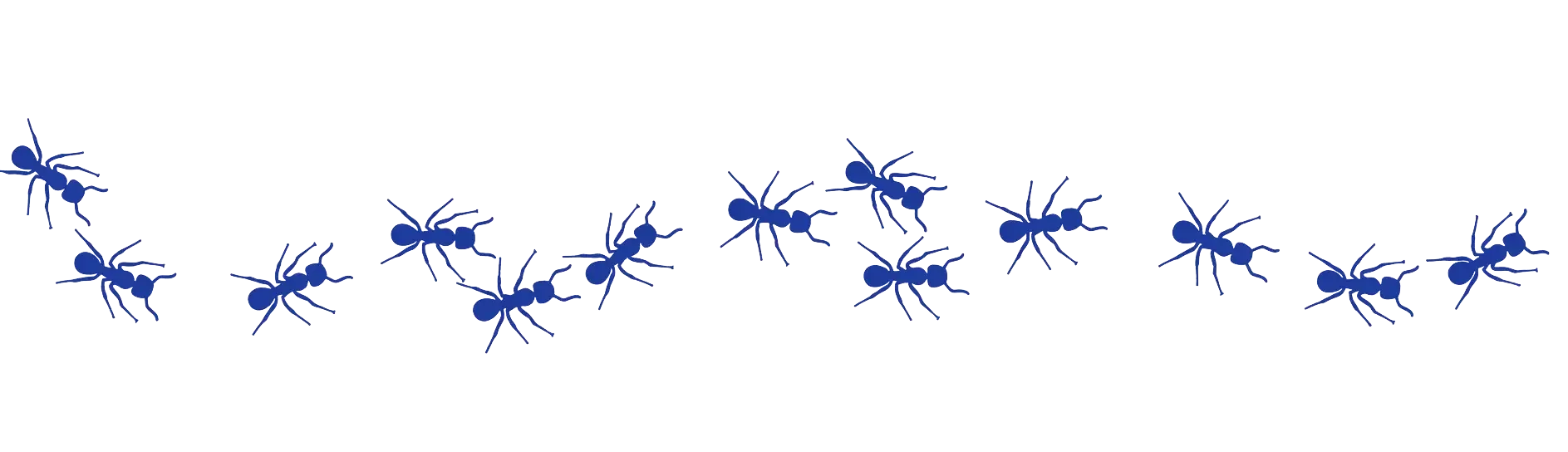 Serie de hormigas azules caminando en línea.