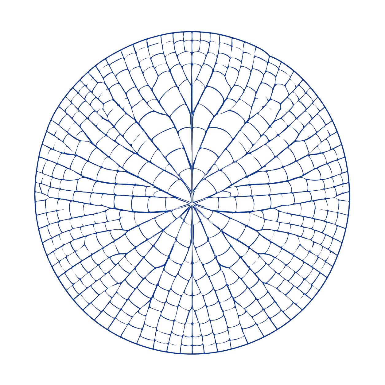 Ilustración line art del reverso de una hoja circular de nenúfar con líneas azules