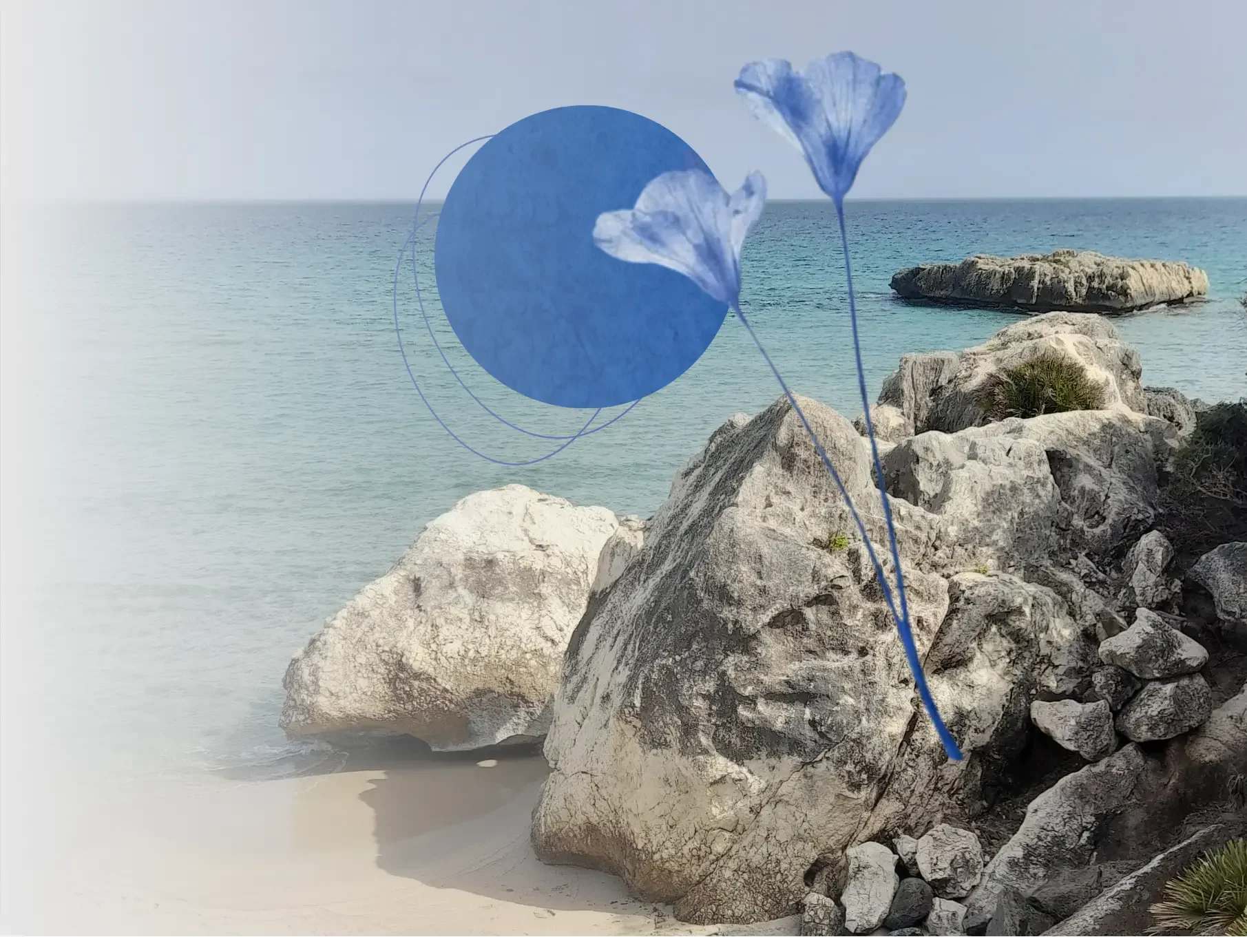 Rocas junto al mar con agua azul clara, flores azules y una esfera azul